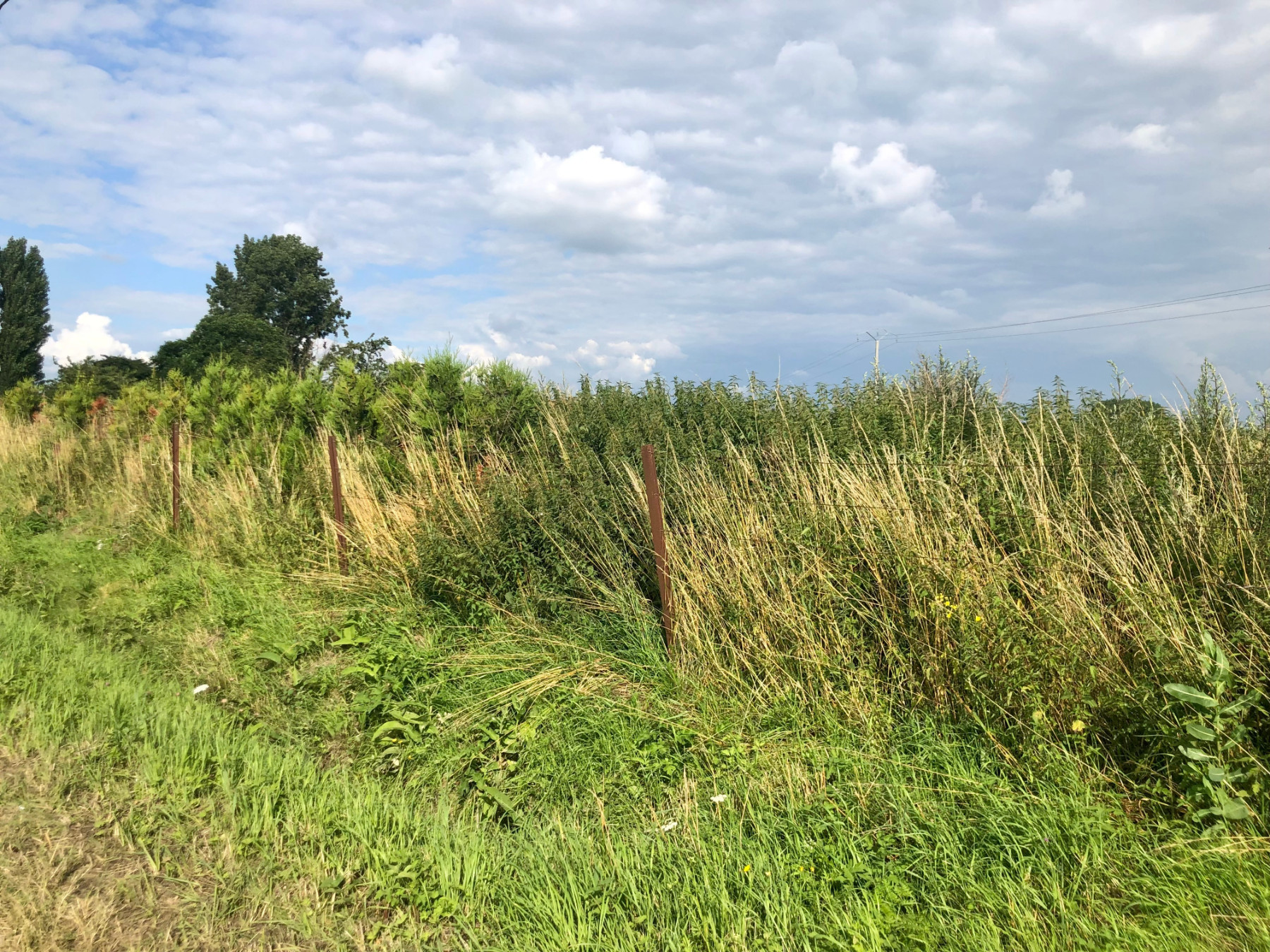 vente maison CYSOING