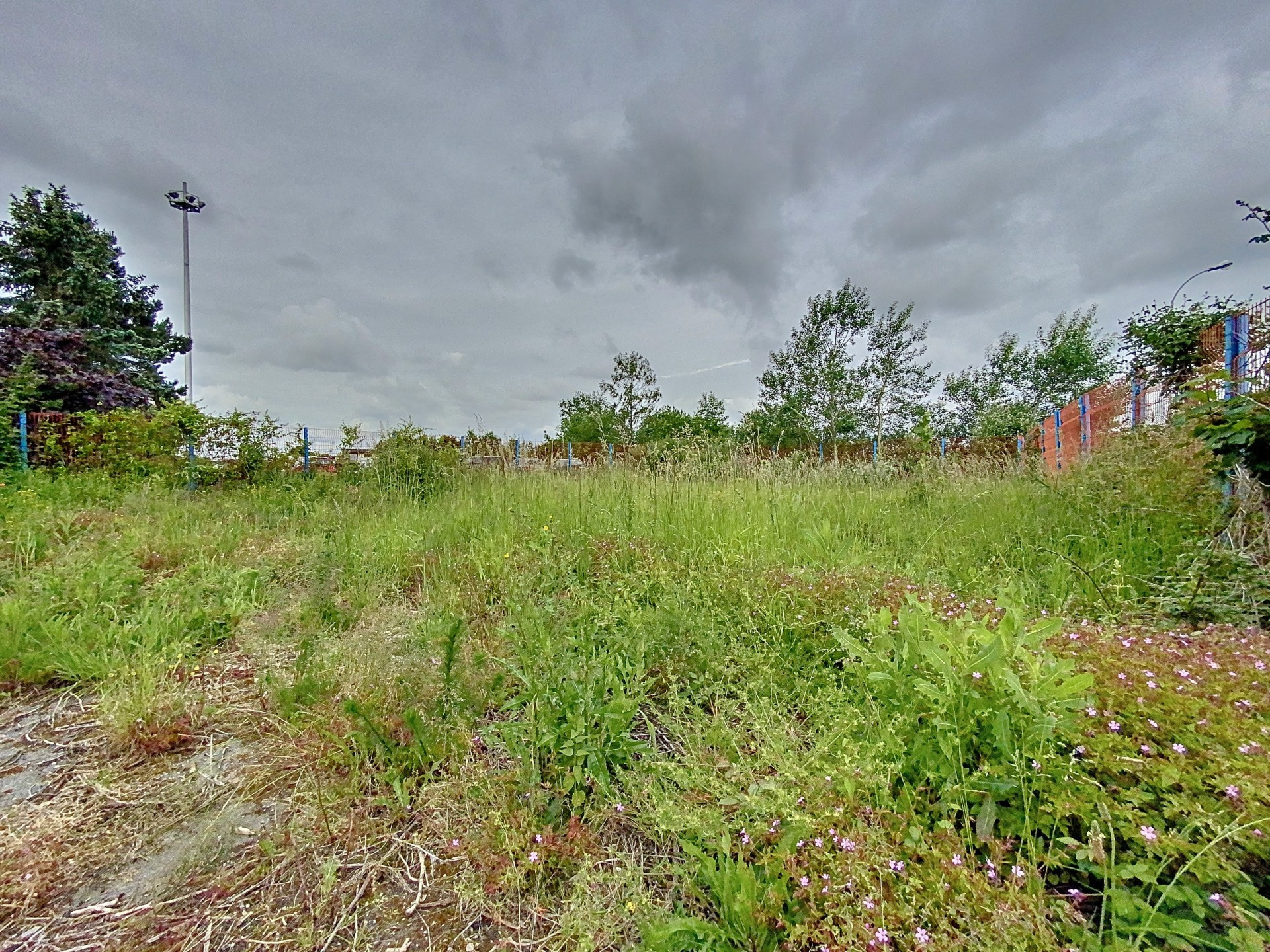 vente terrain NIEPPE