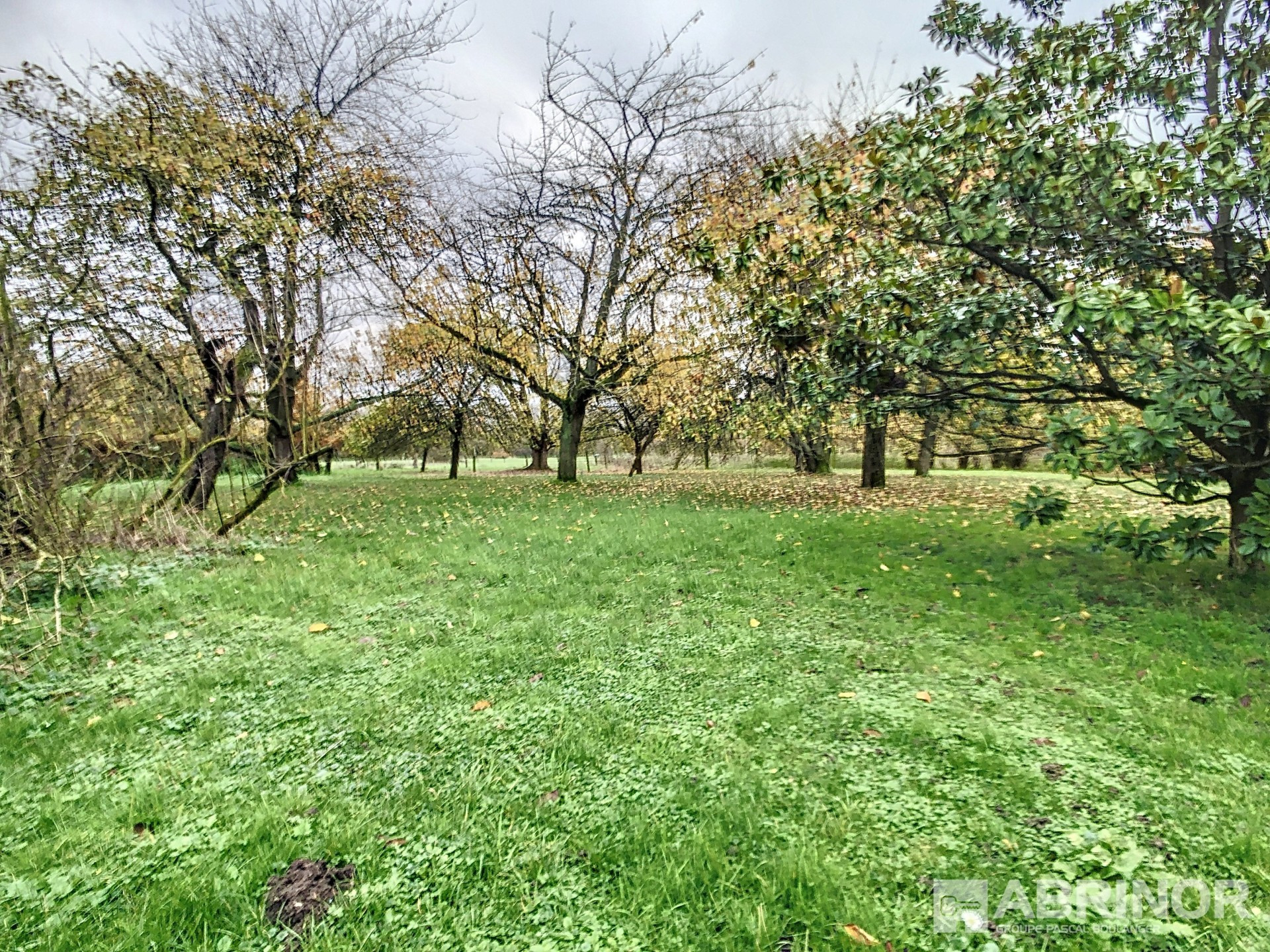 vente maison TEMPLEUVE EN PEVELE