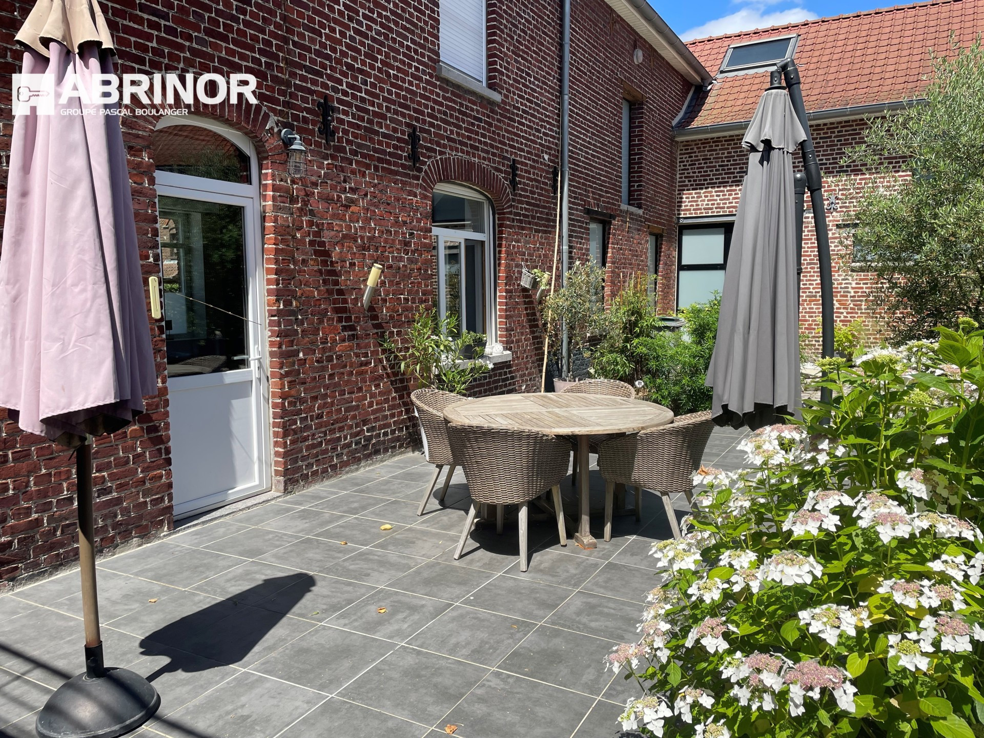 vente maison TEMPLEUVE EN PEVELE