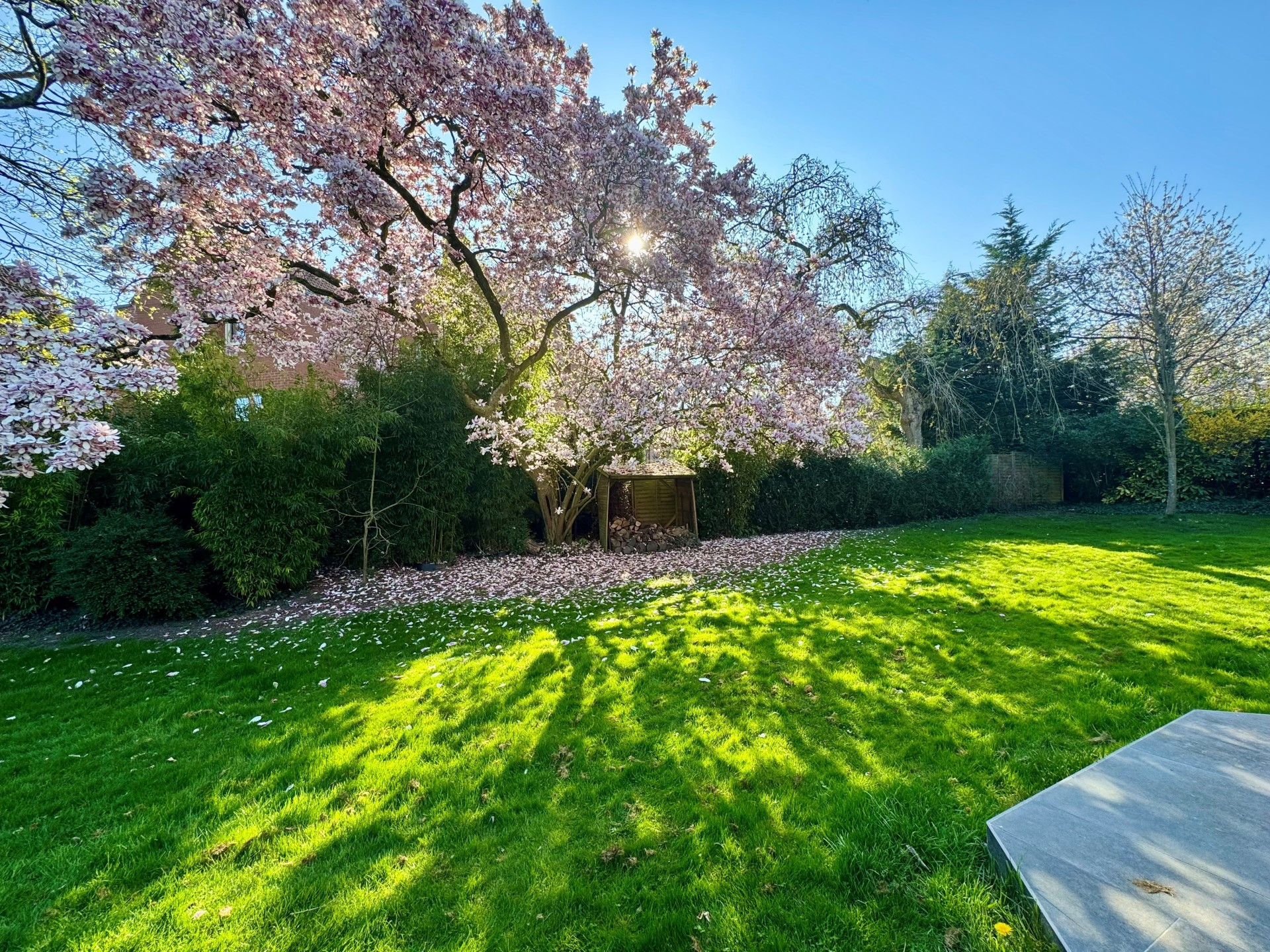 vente maison ROUBAIX