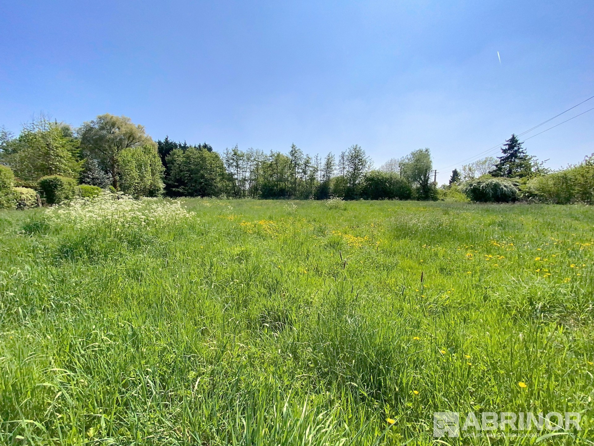 vente terrain MARCHIENNES