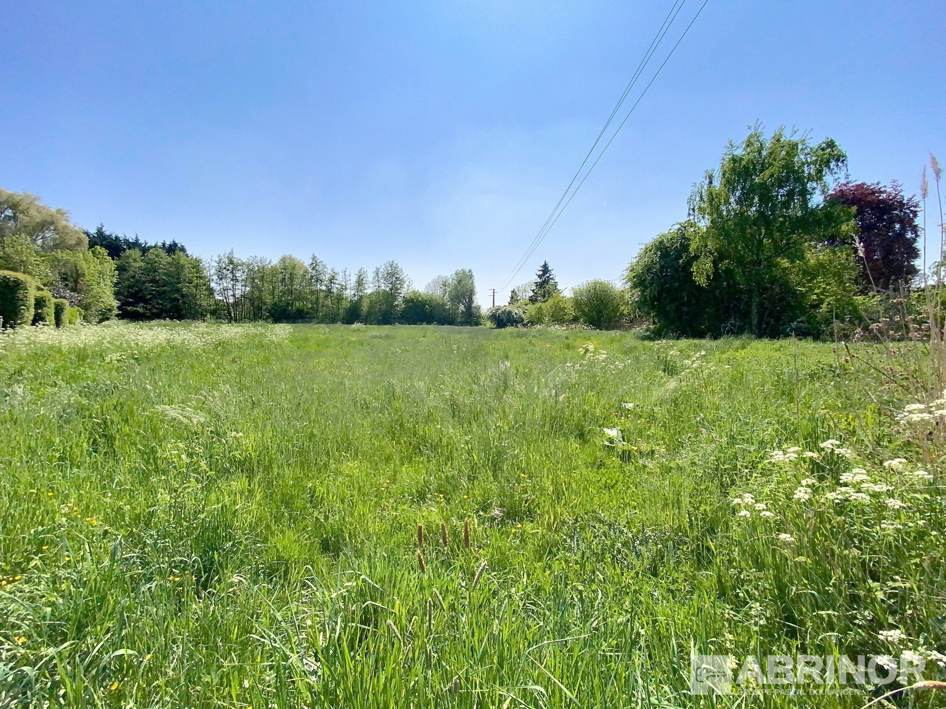 vente terrain MARCHIENNES