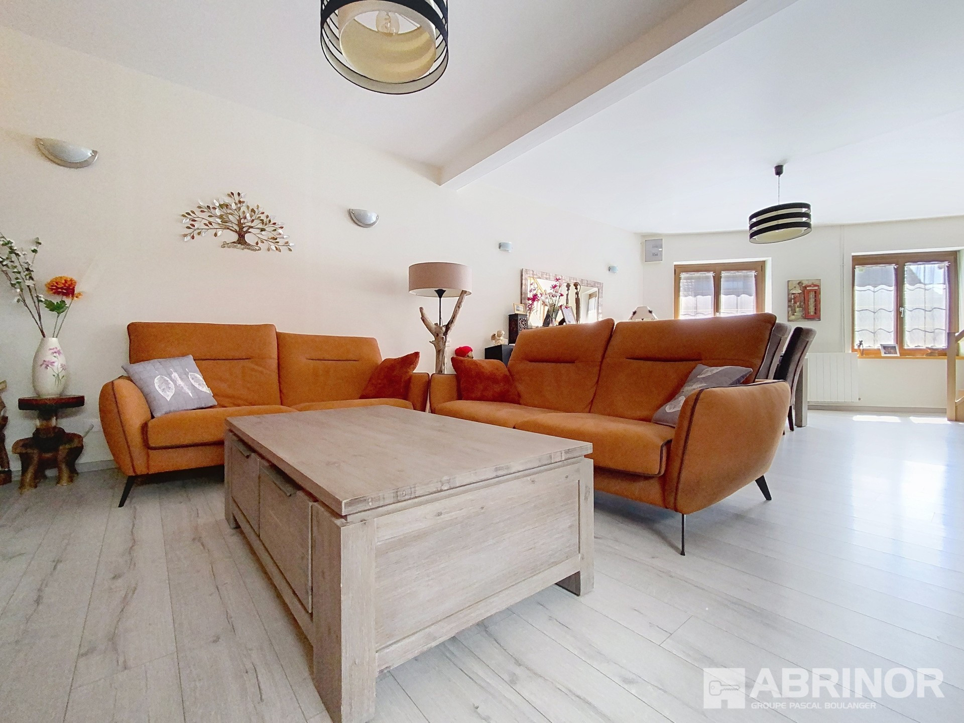 vente maison TRESSIN