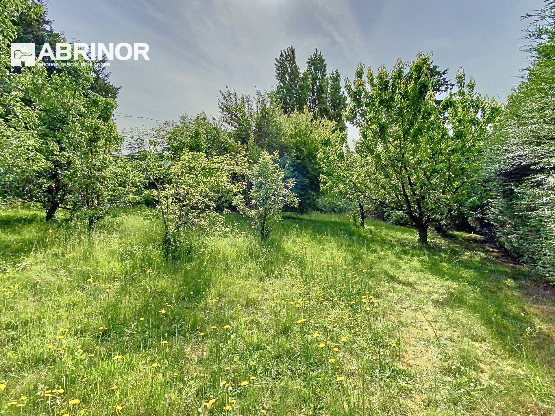 vente terrain RONCHIN