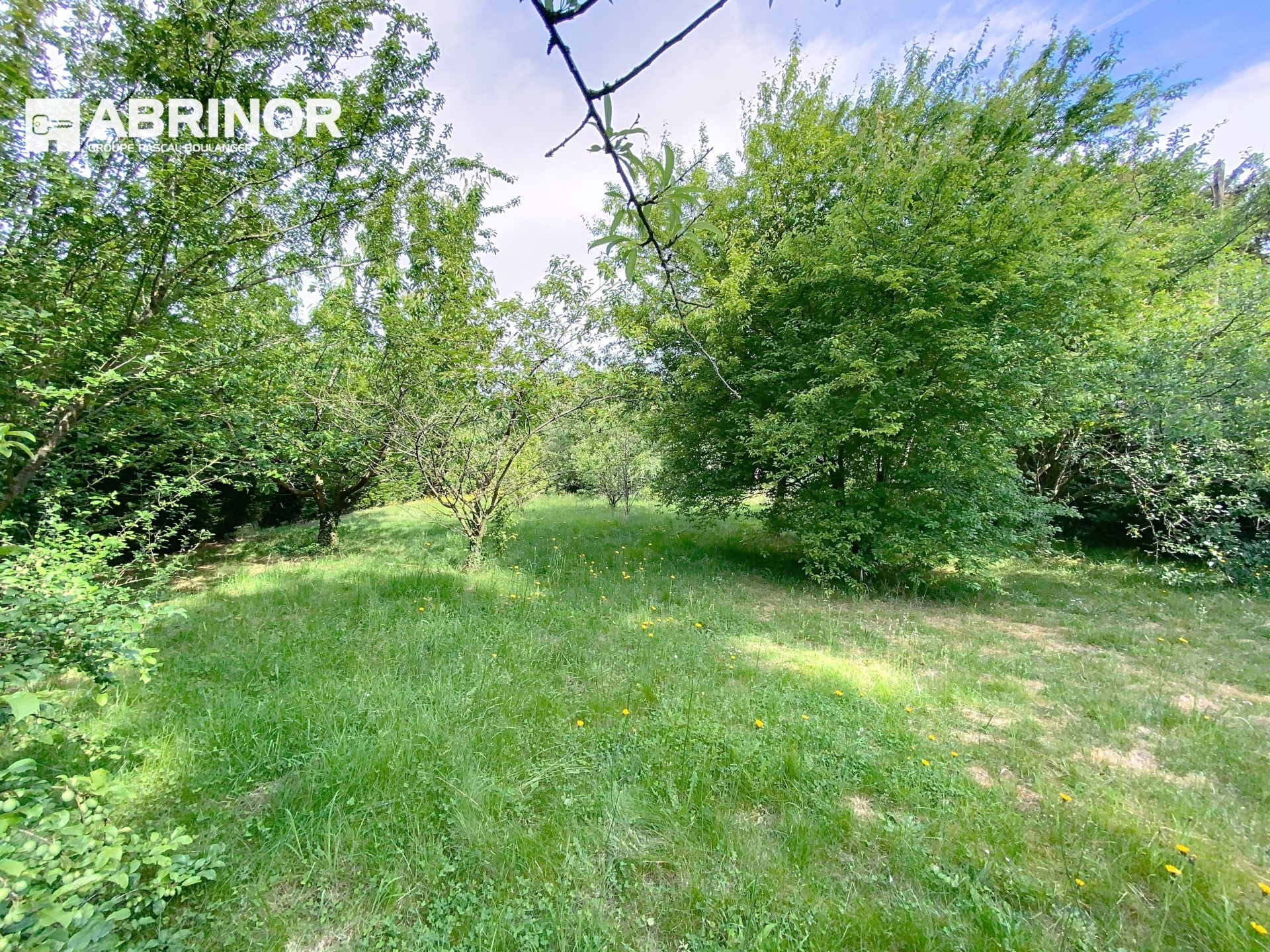 vente terrain RONCHIN