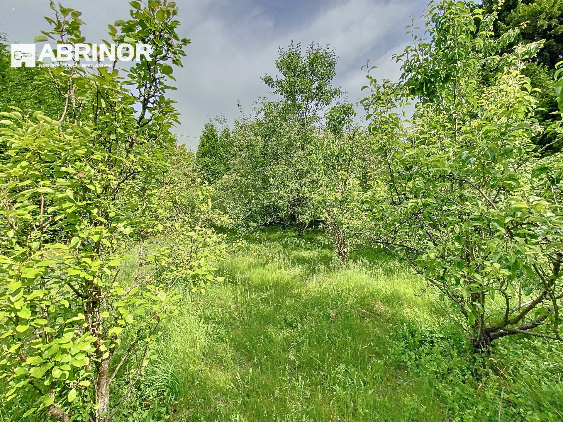 vente terrain RONCHIN