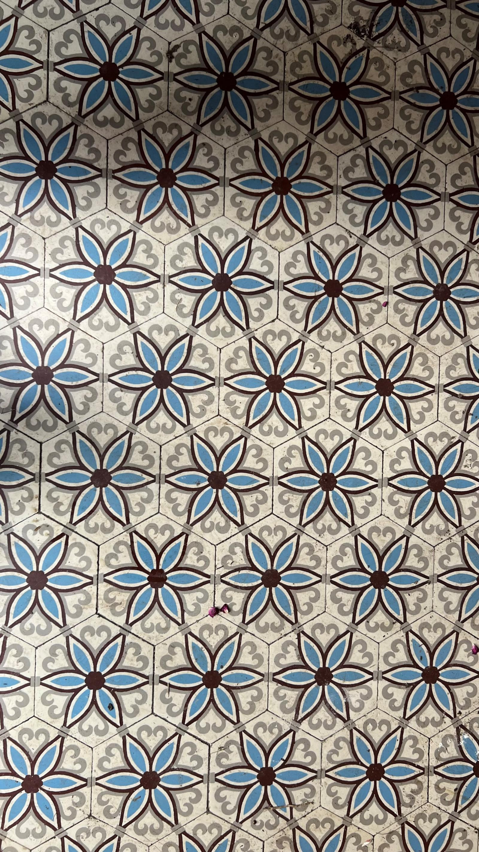 vente maison LA CHAPELLE D ARMENTIERES