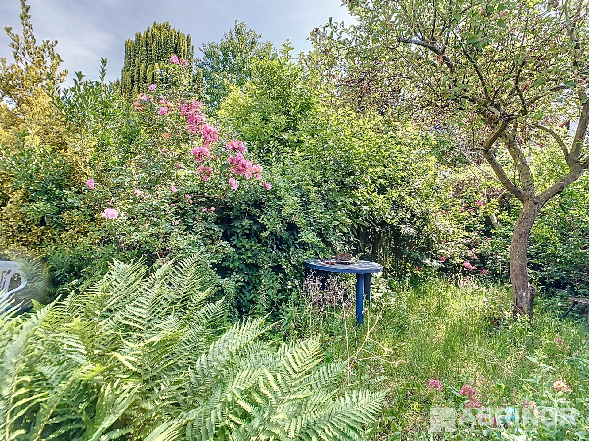 vente maison VILLENEUVE D ASCQ