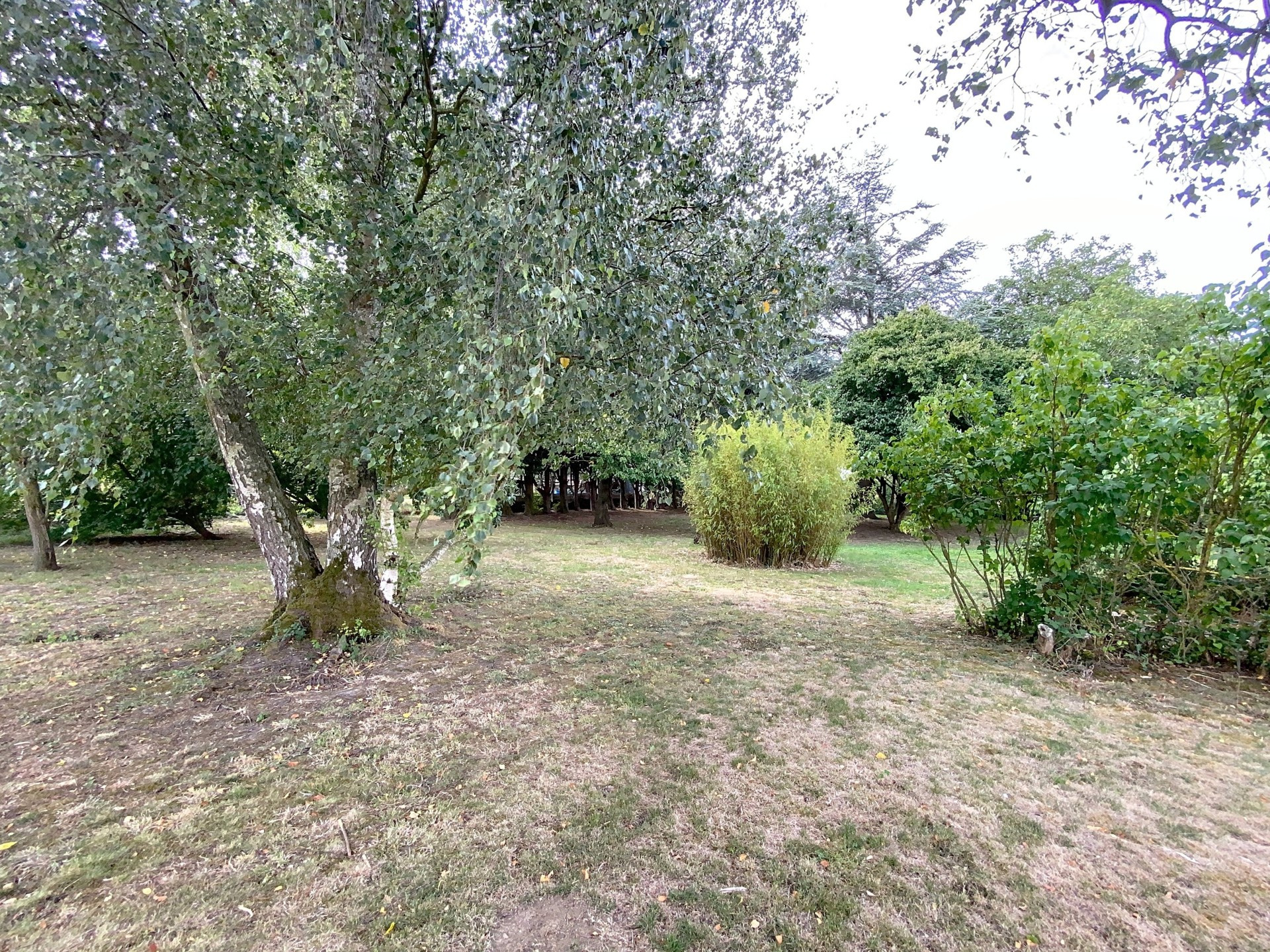 vente maison FLEURBAIX