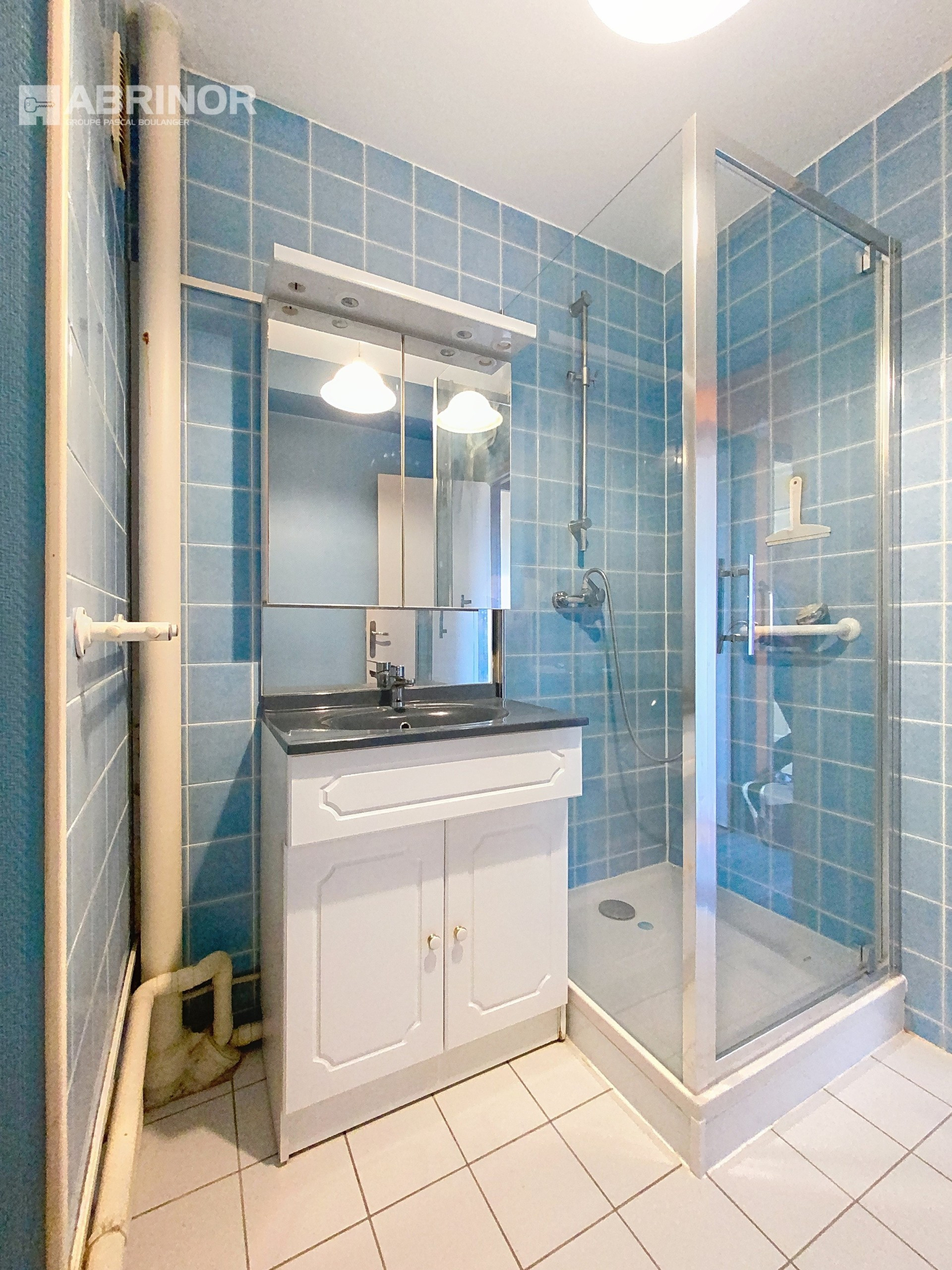 vente appartement FACHES THUMESNIL