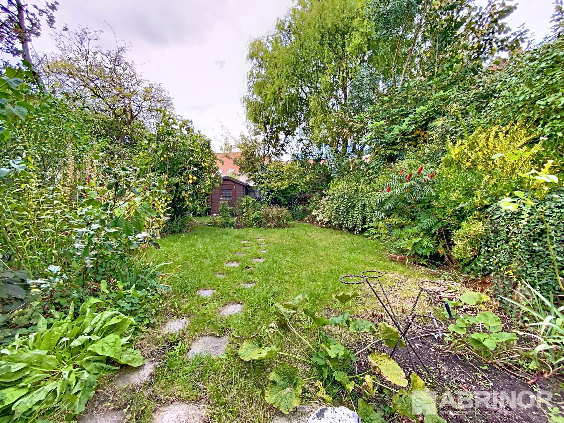 vente maison ORCHIES