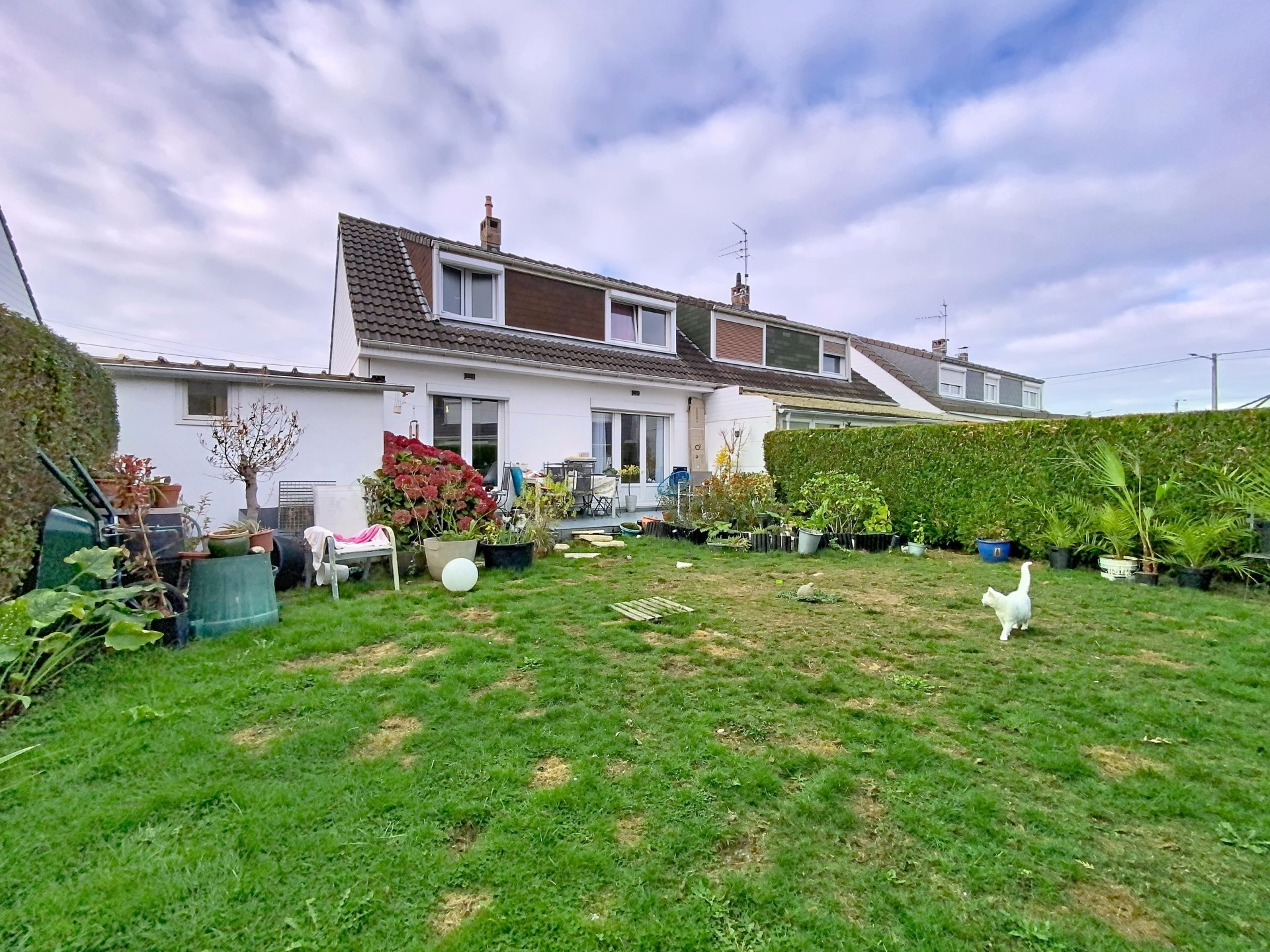 vente maison NIEPPE