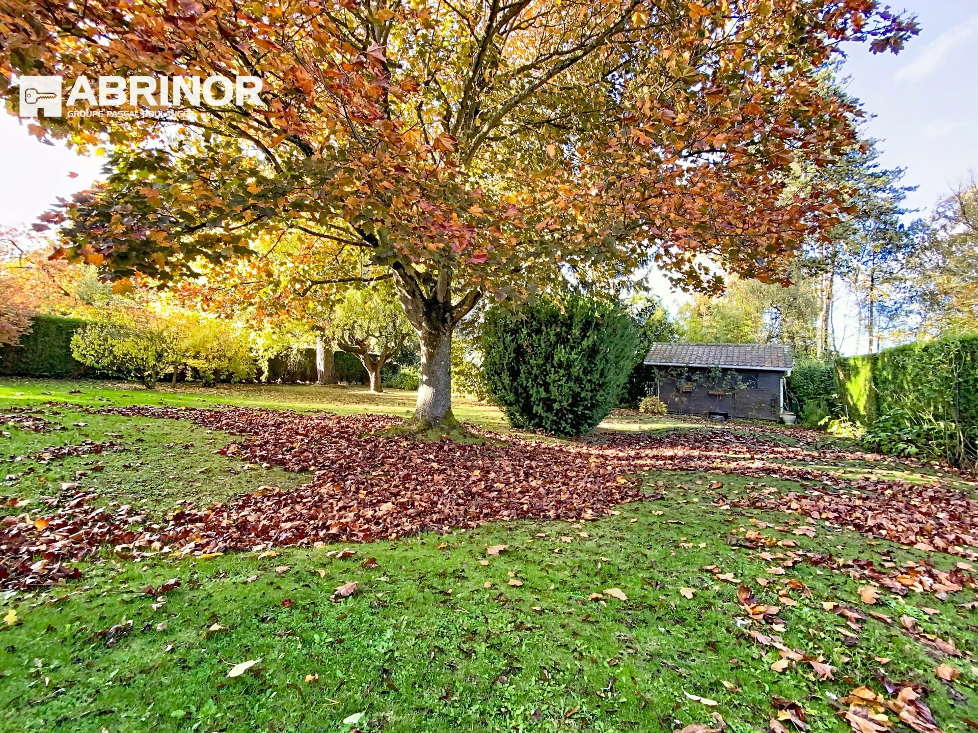 vente maison TEMPLEUVE EN PEVELE