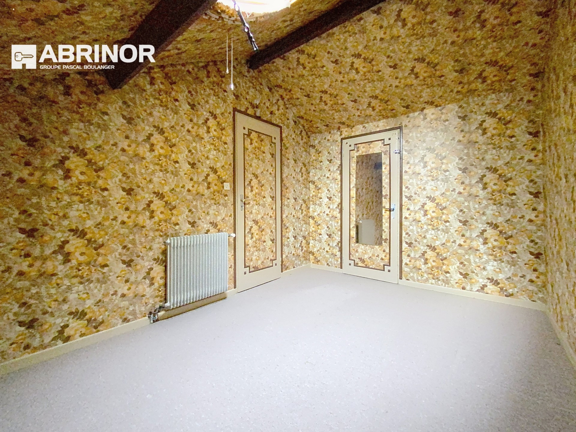 vente maison FACHES THUMESNIL