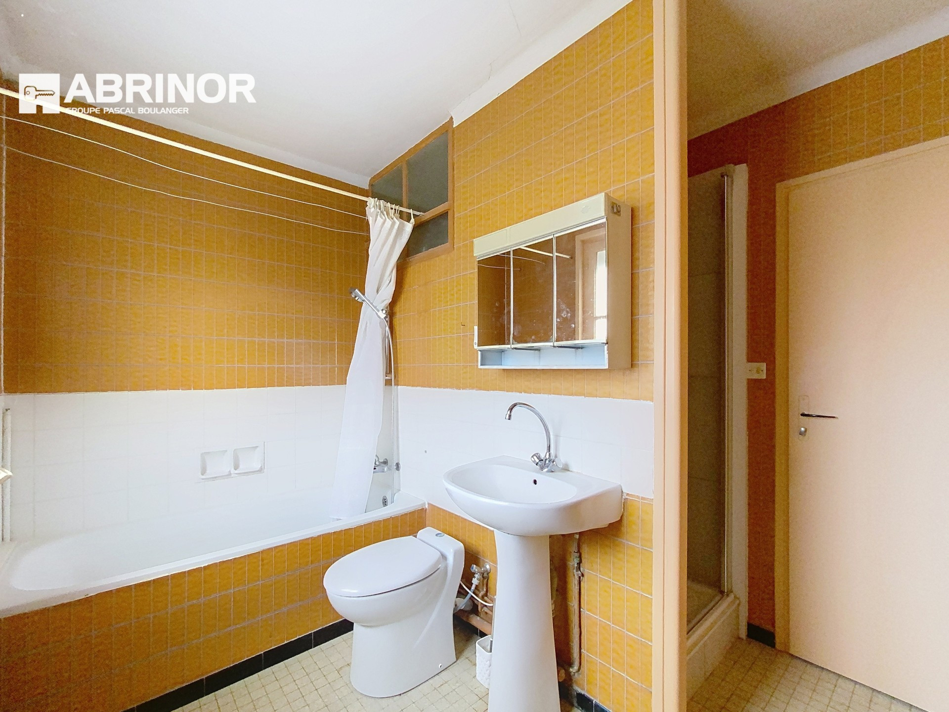 vente maison FACHES THUMESNIL