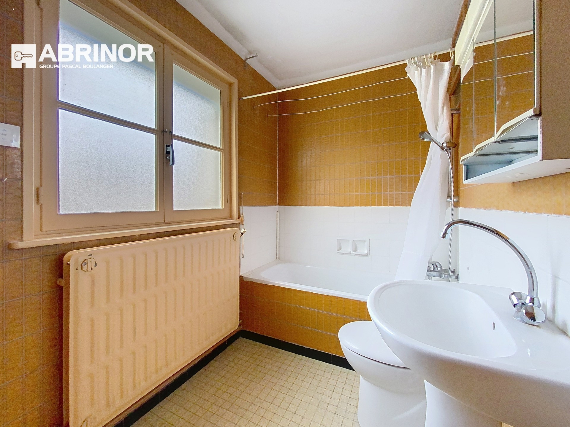 vente maison FACHES THUMESNIL