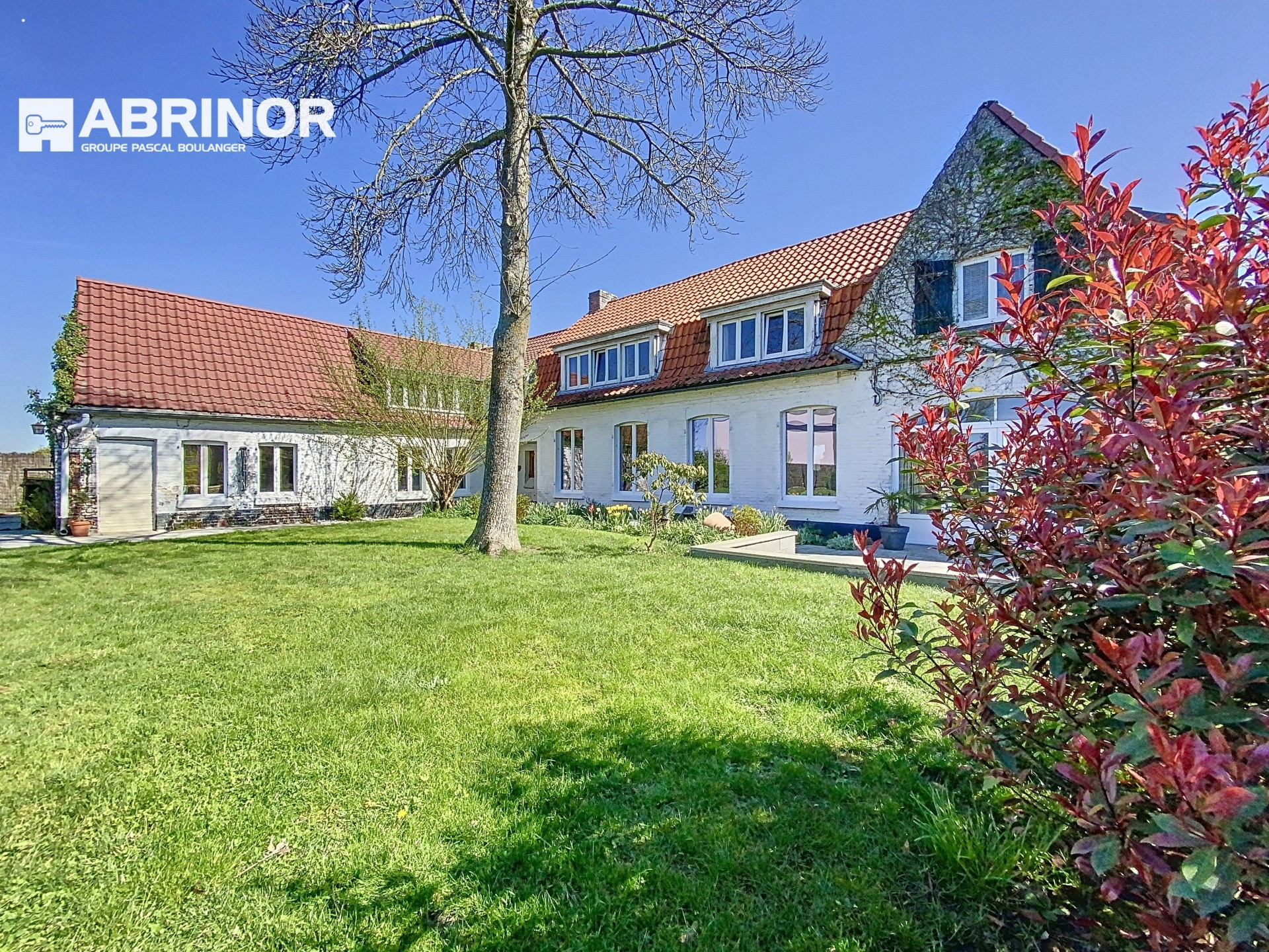 vente maison TEMPLEUVE EN PEVELE