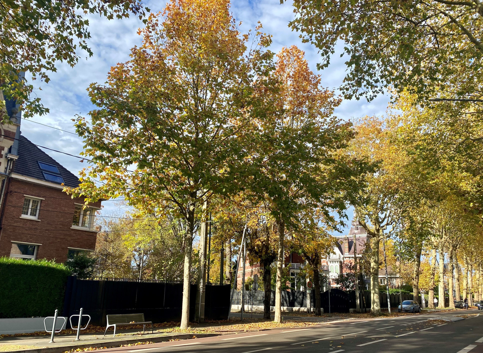 vente maison LAMBERSART