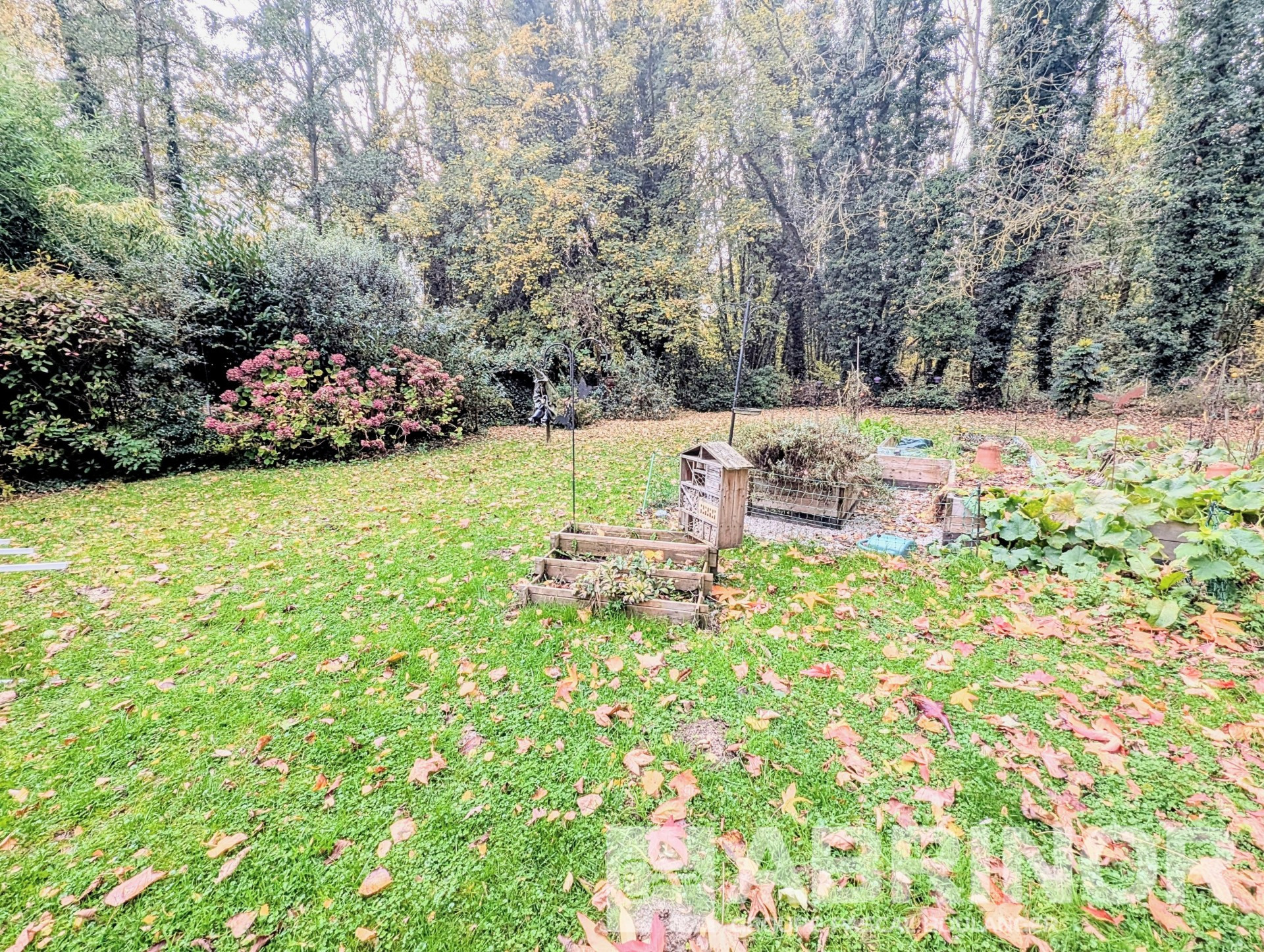 vente maison MARCHIENNES