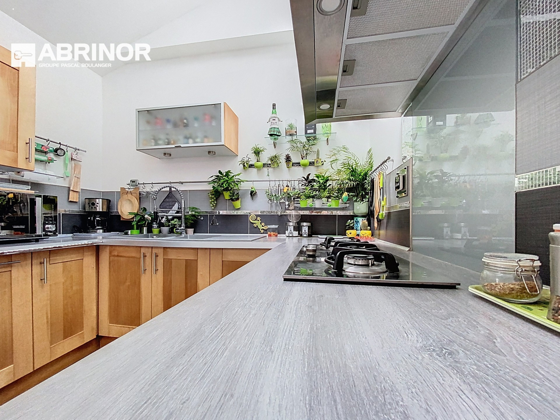 vente maison CAPPELLE EN PEVELE