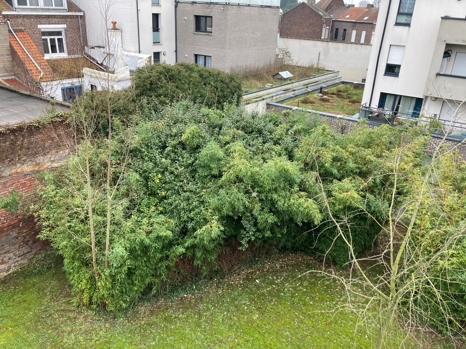 vente appartement CROIX