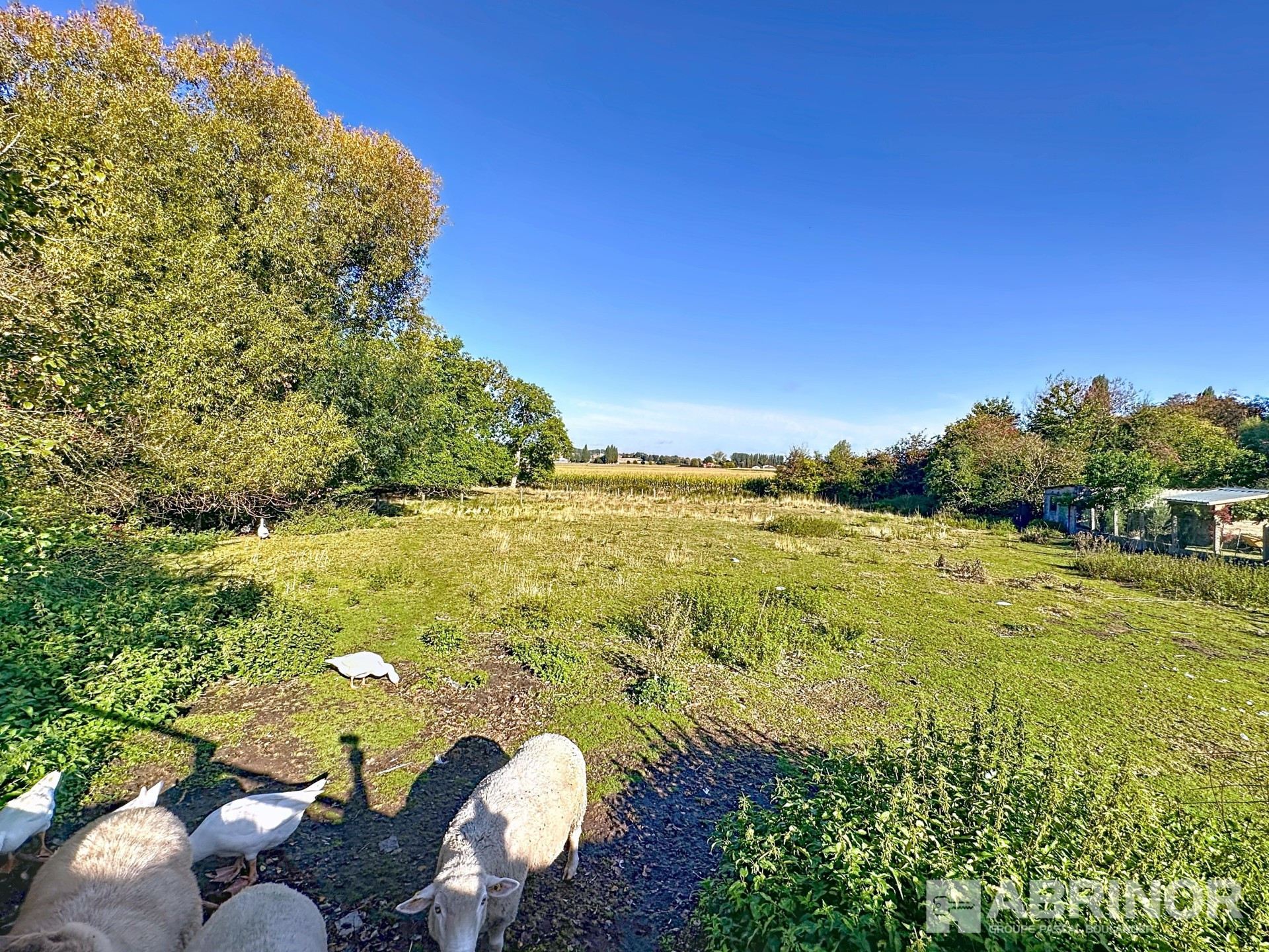 vente maison LINSELLES