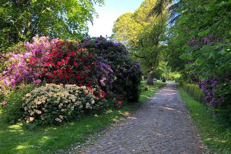 vente immeuble JENLAIN