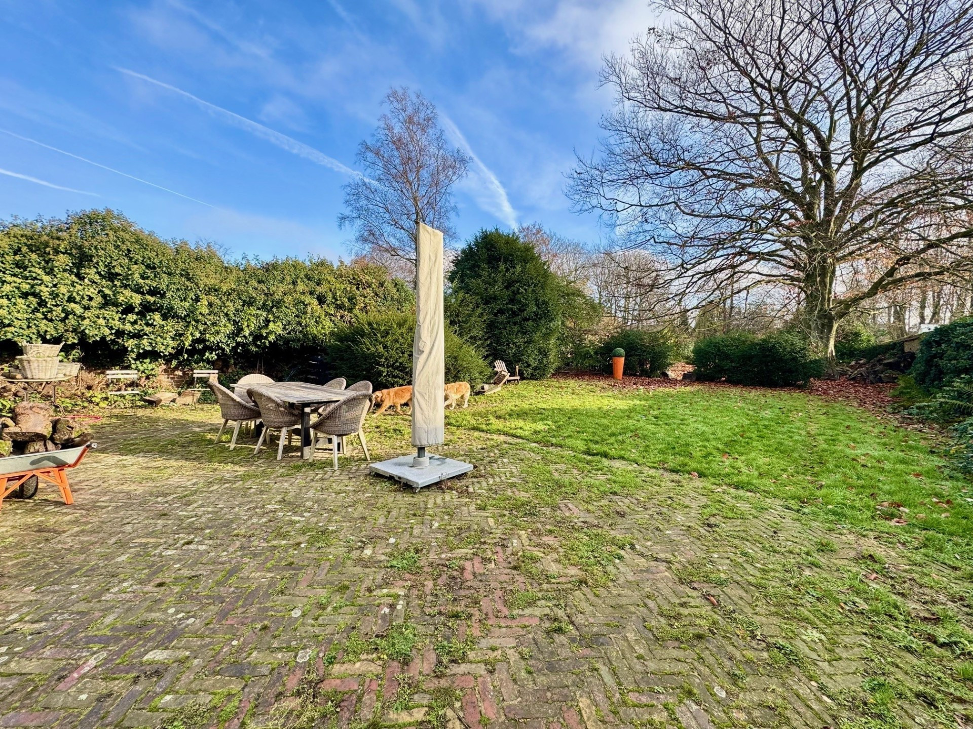 vente maison VILLENEUVE D ASCQ