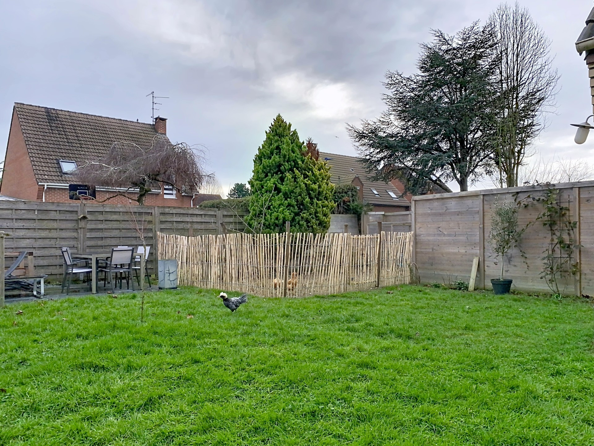 vente maison LA CHAPELLE D ARMENTIERES