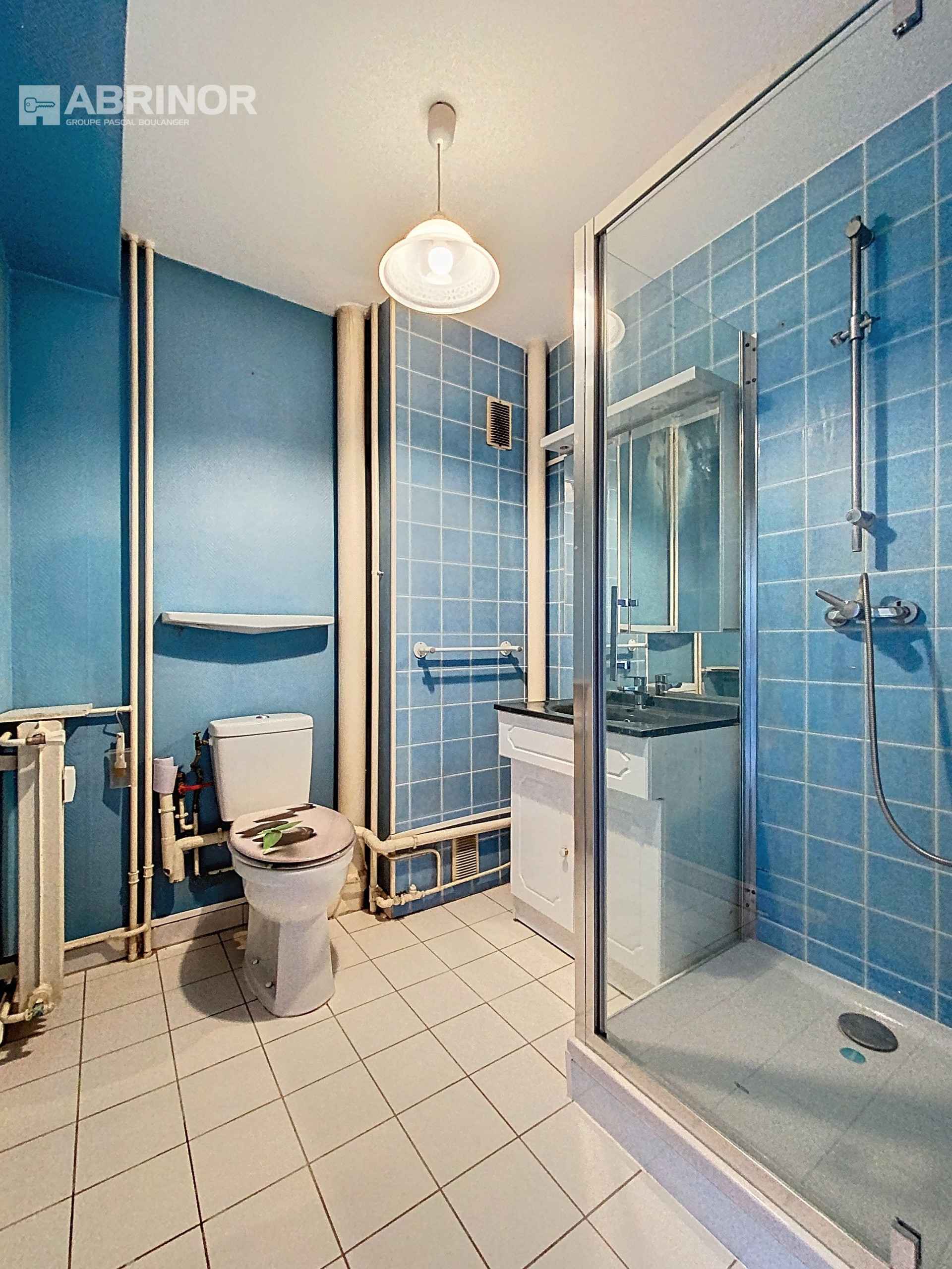 vente appartement FACHES THUMESNIL