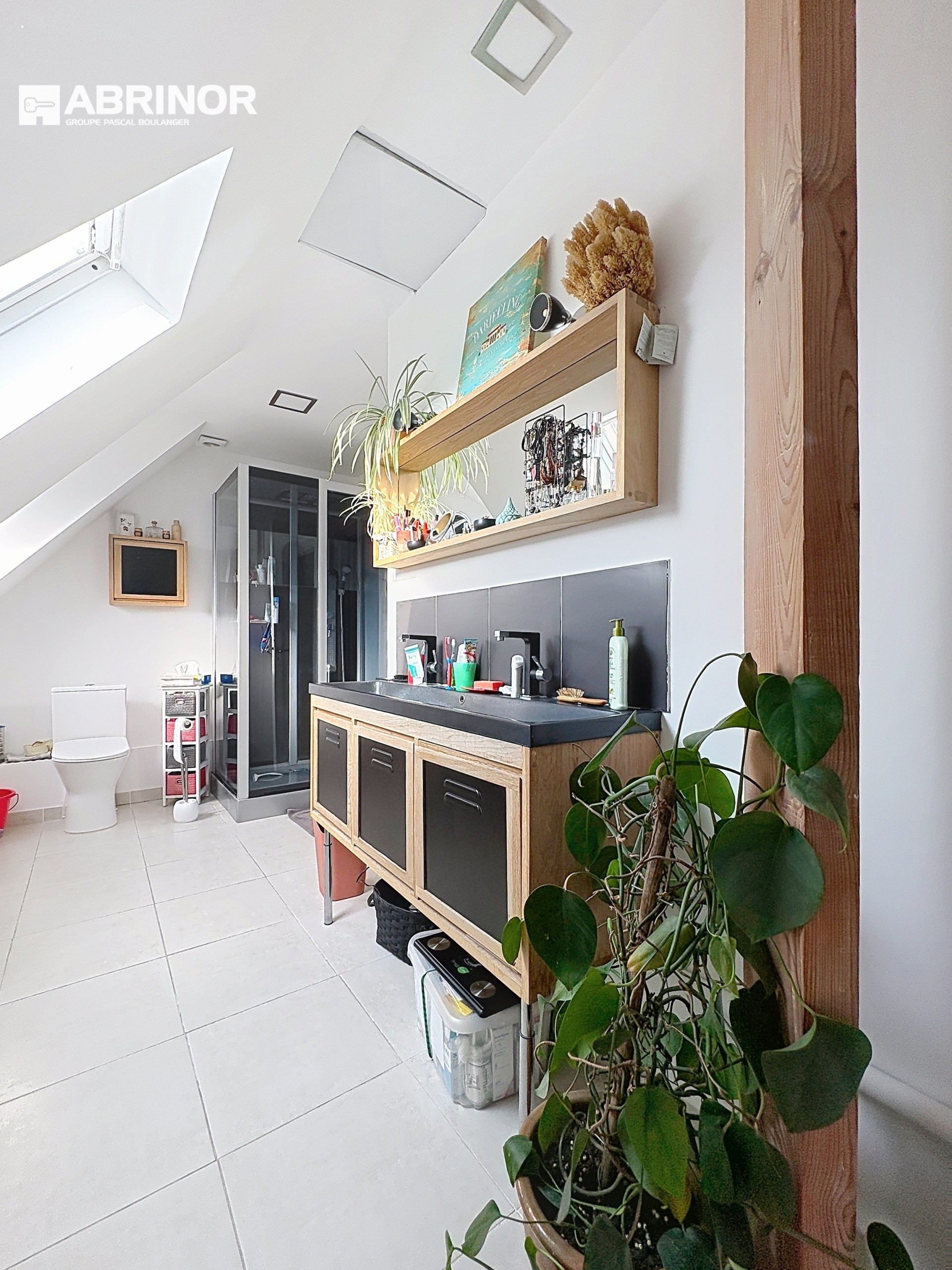 vente maison FACHES THUMESNIL