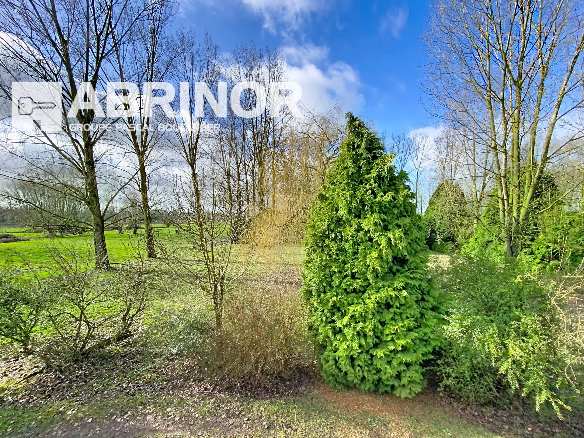 vente maison TEMPLEUVE EN PEVELE