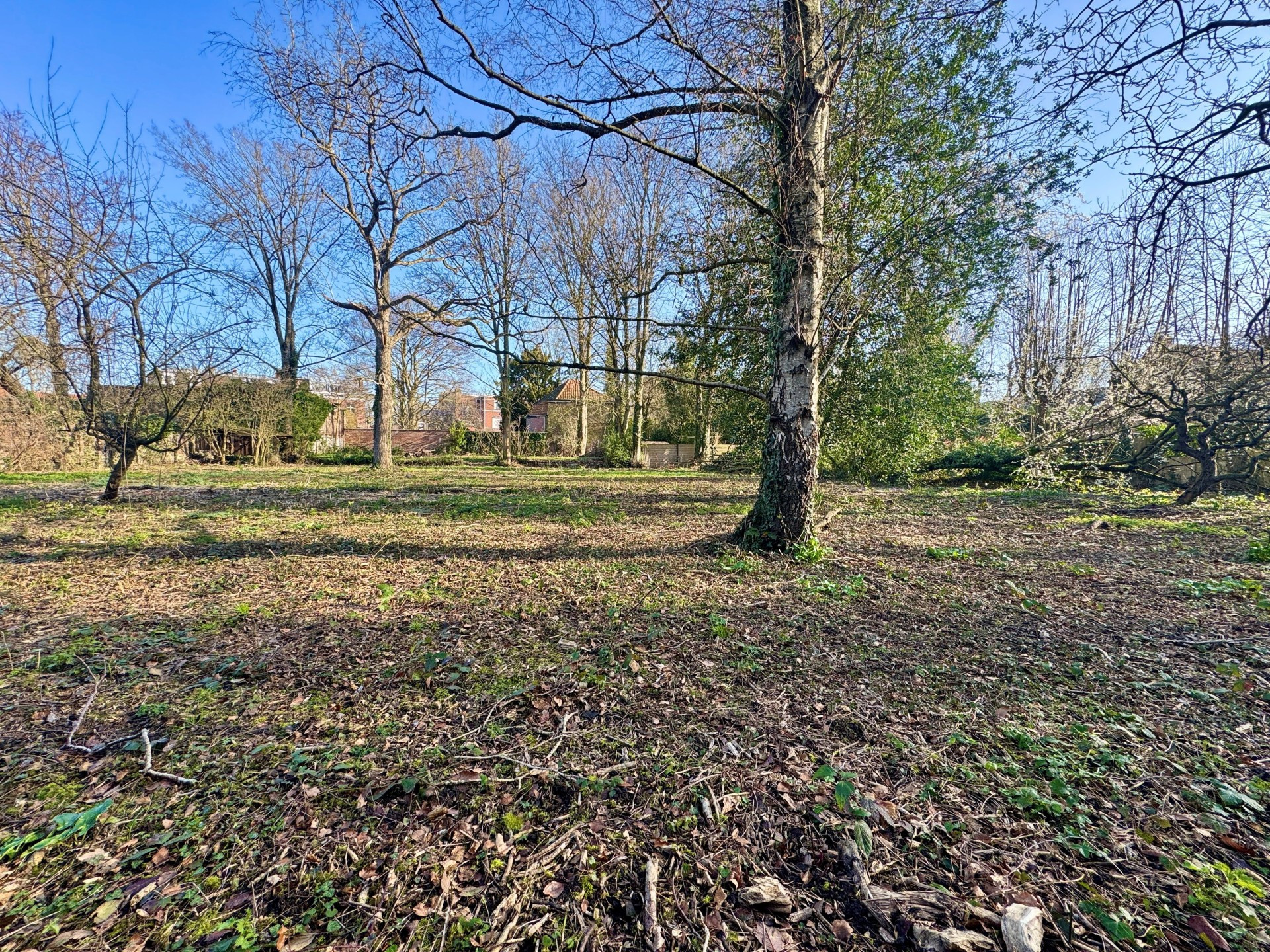 vente terrain VILLENEUVE D ASCQ