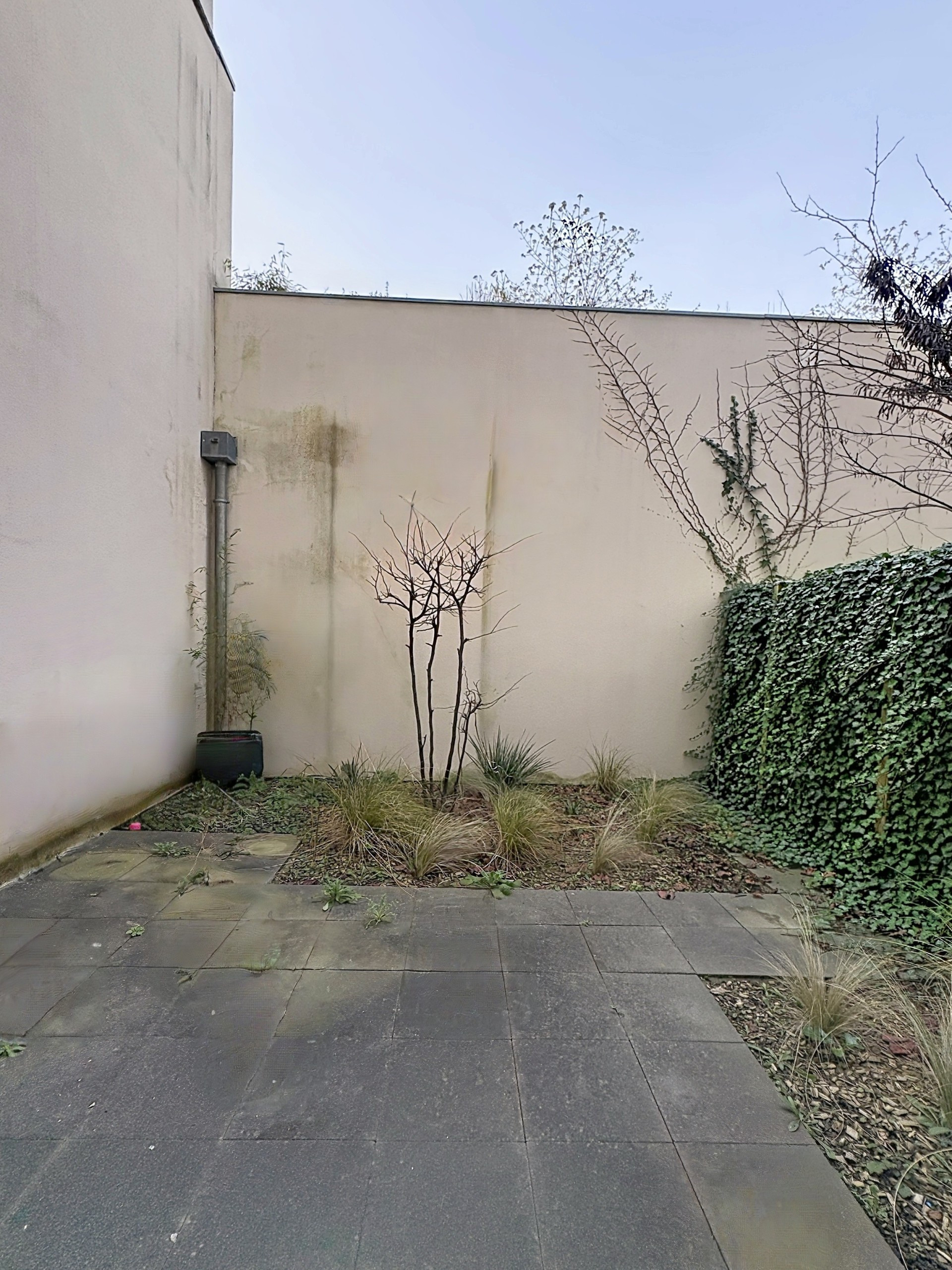 location appartement LILLE