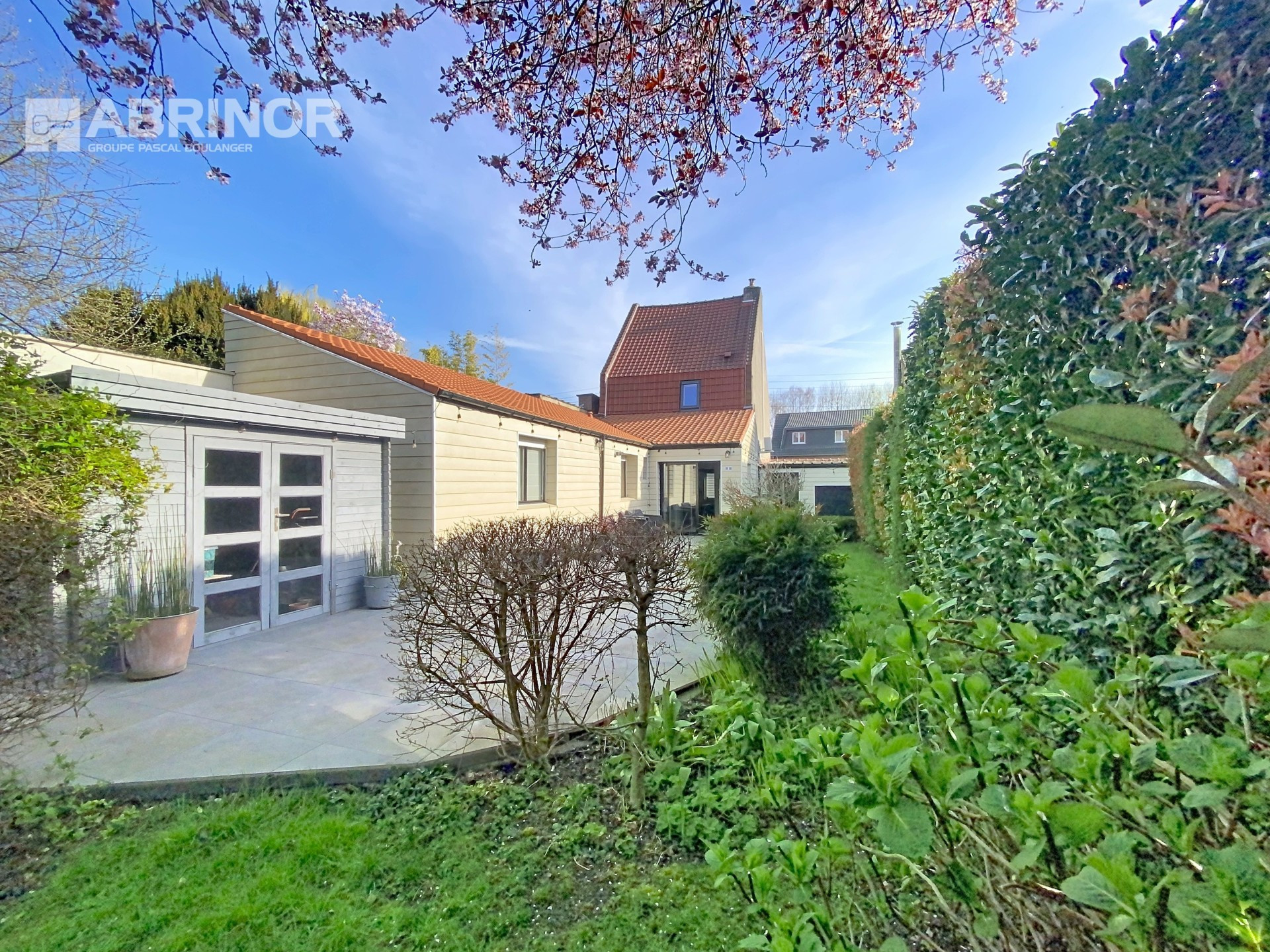 vente maison LOMME