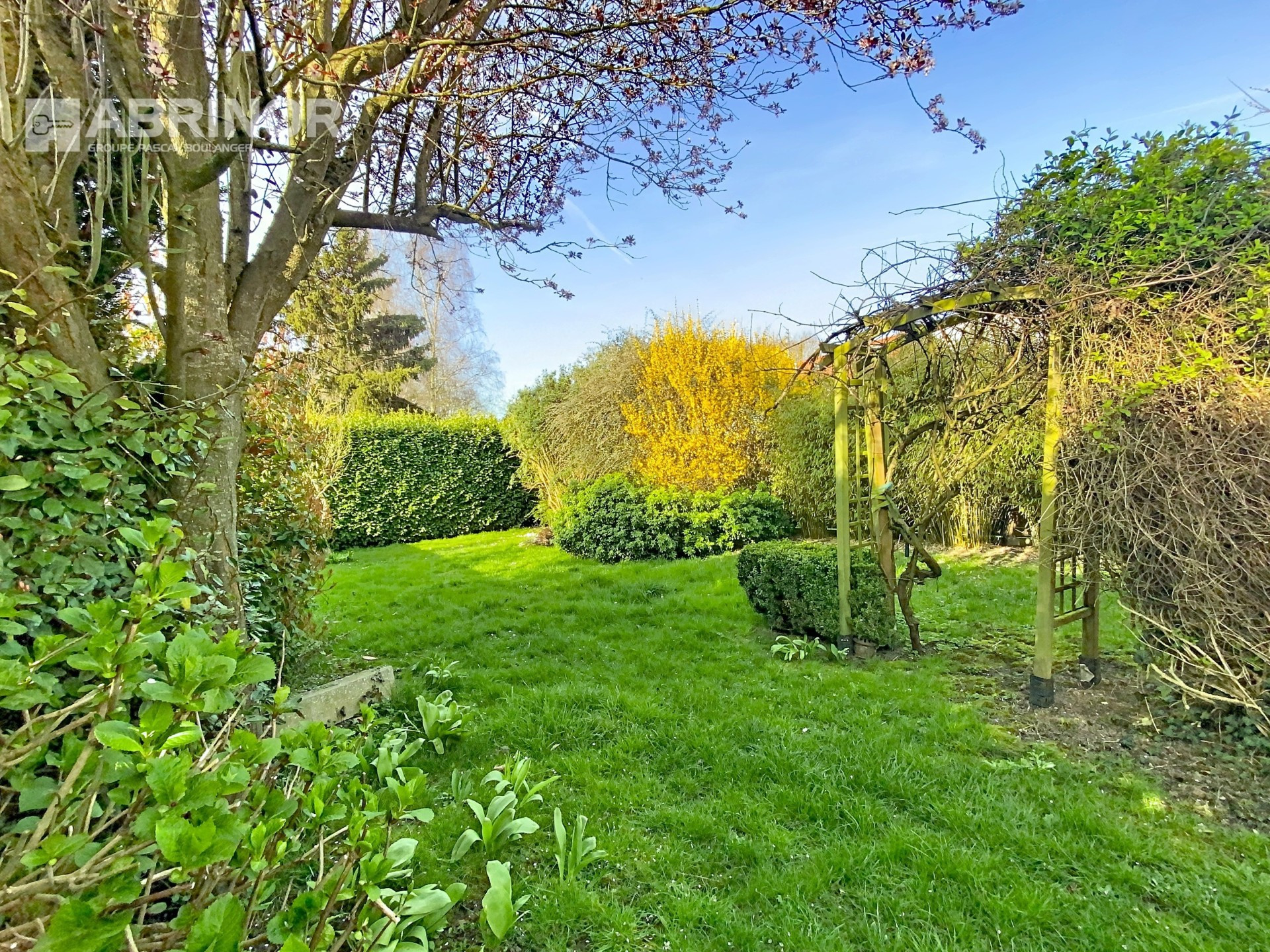 vente maison LOMME