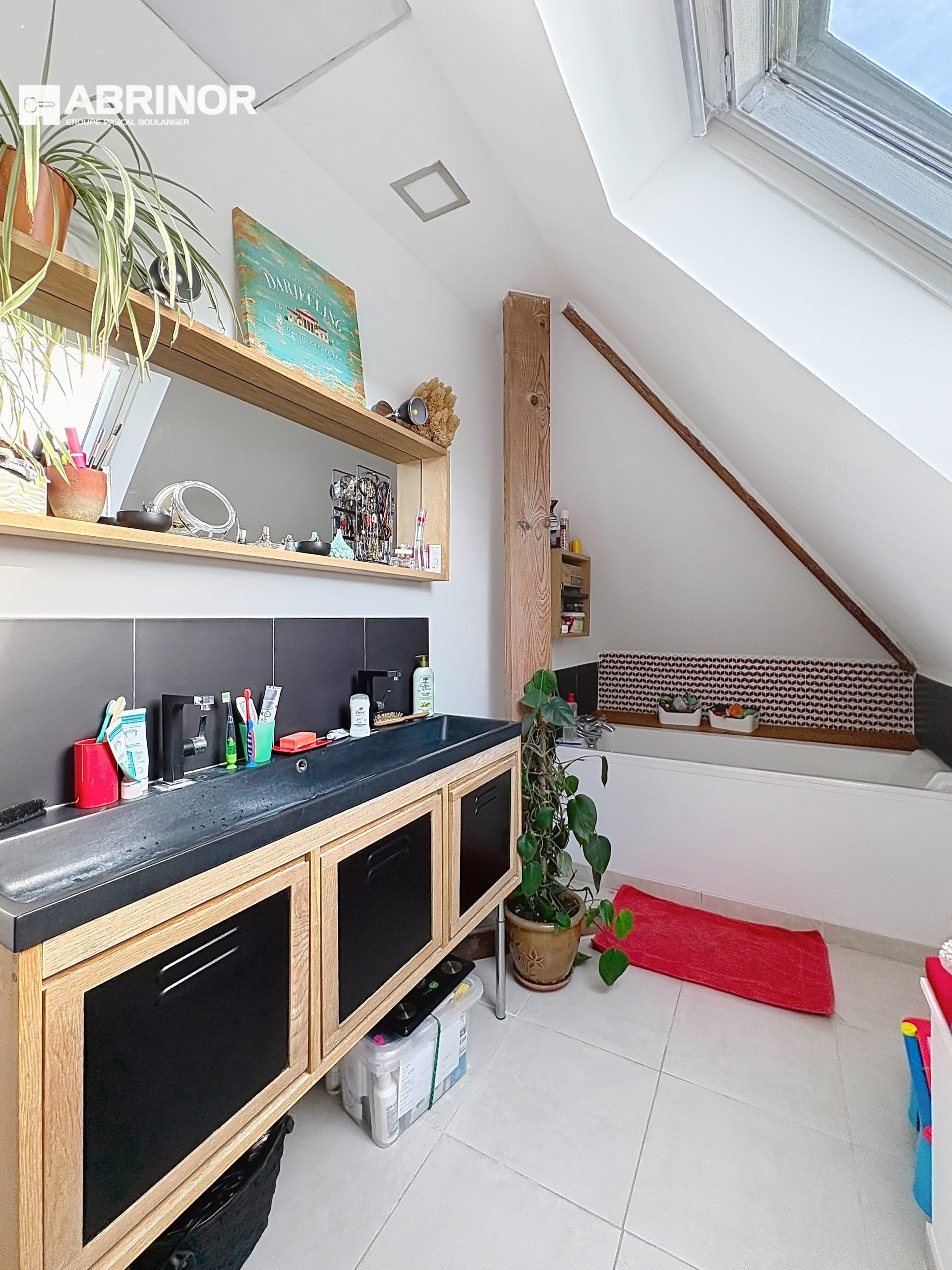 vente maison FACHES THUMESNIL