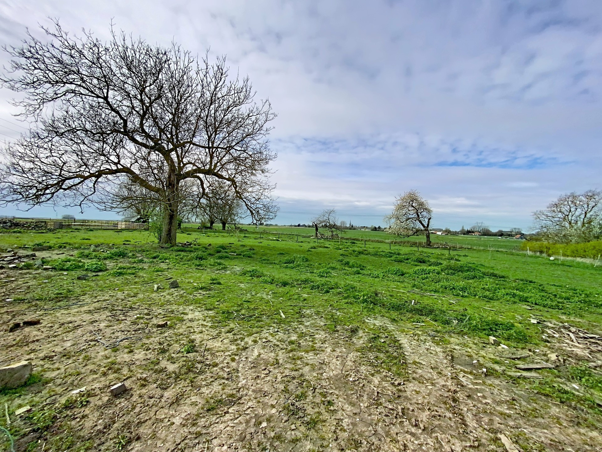 vente maison ORCHIES