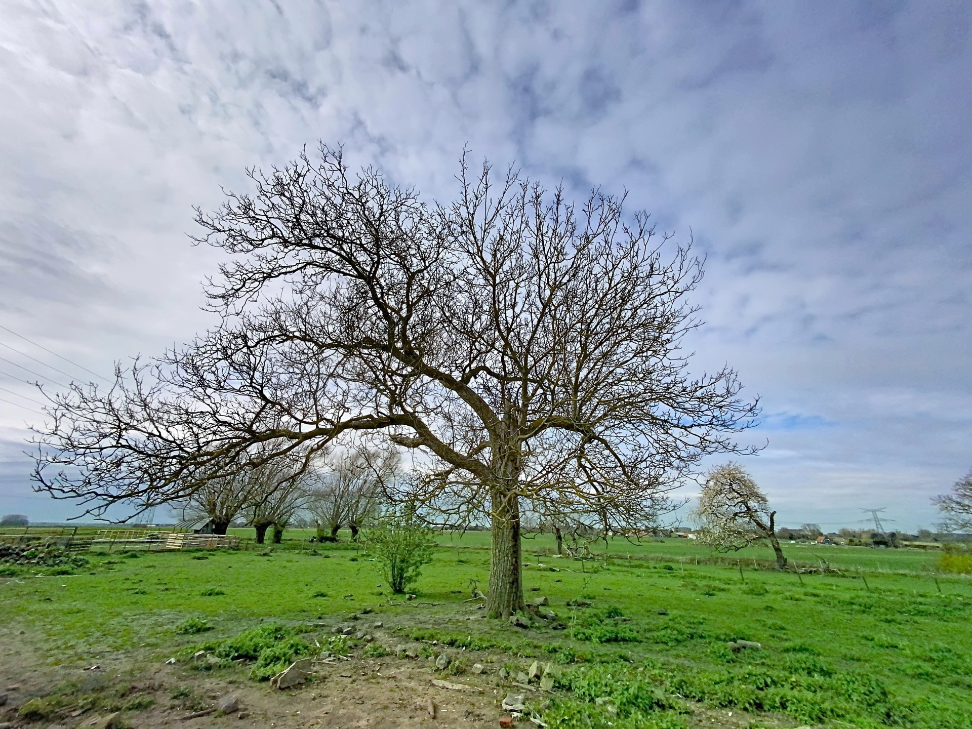 vente maison ORCHIES