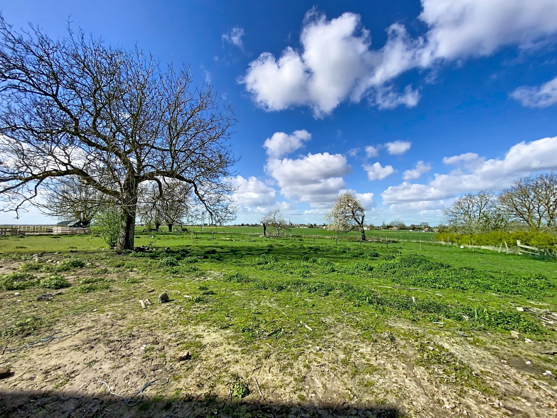 vente maison ORCHIES