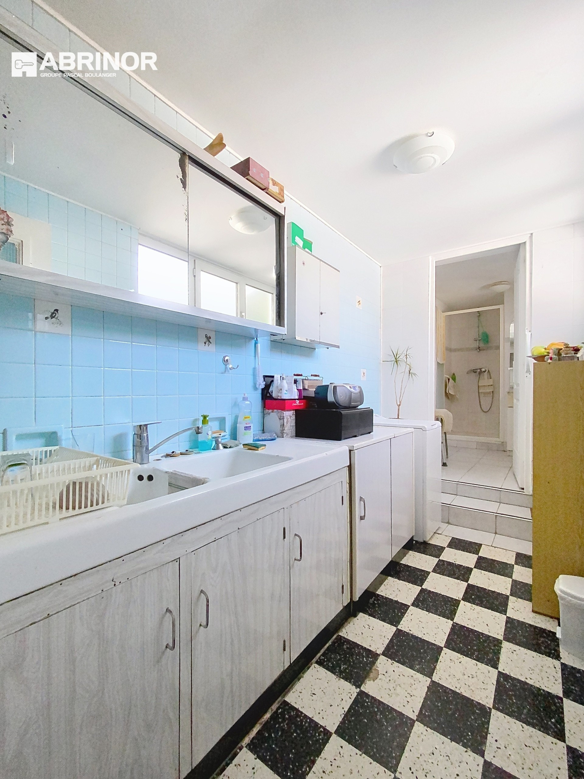 vente maison FACHES THUMESNIL