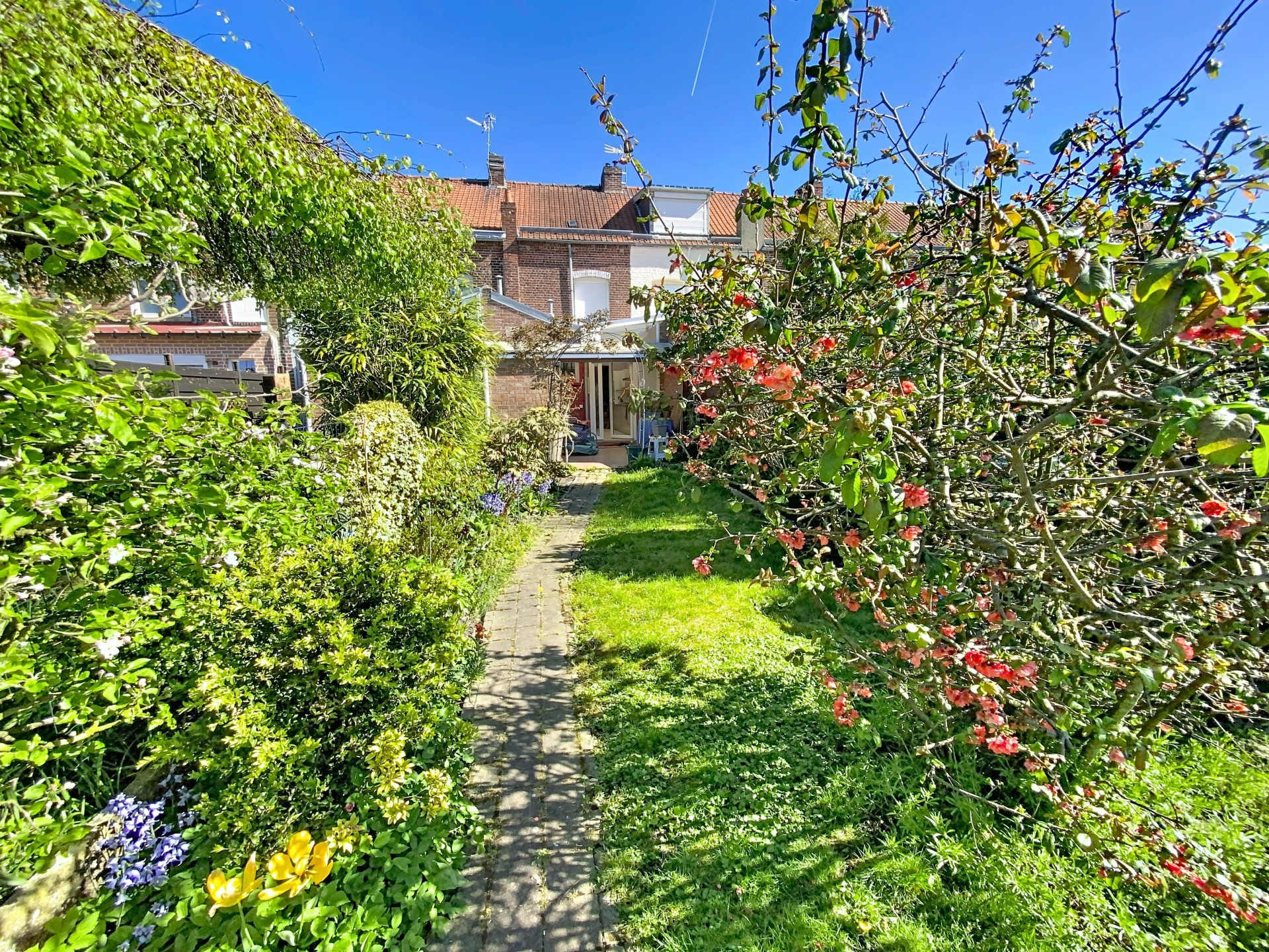 vente maison ORCHIES