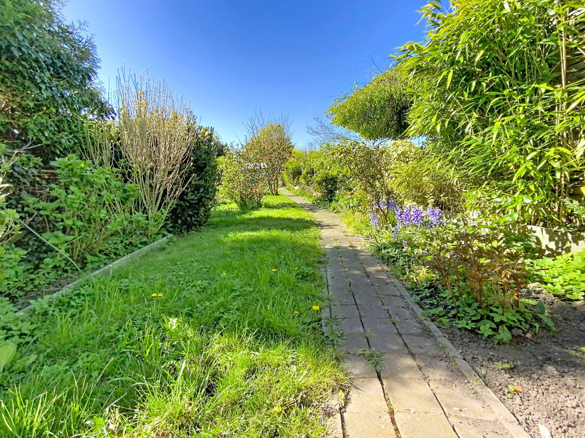 vente maison ORCHIES