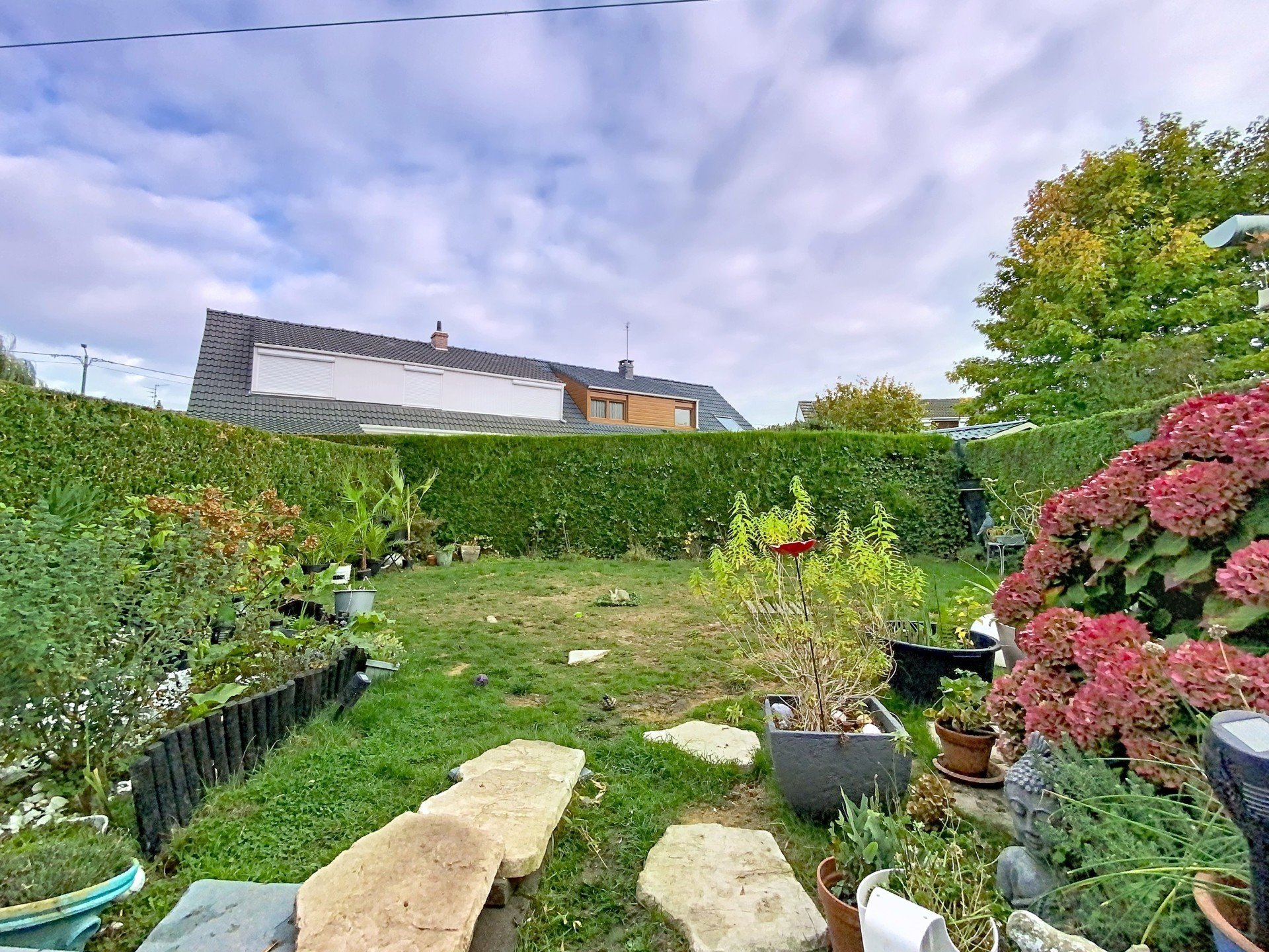 vente maison NIEPPE