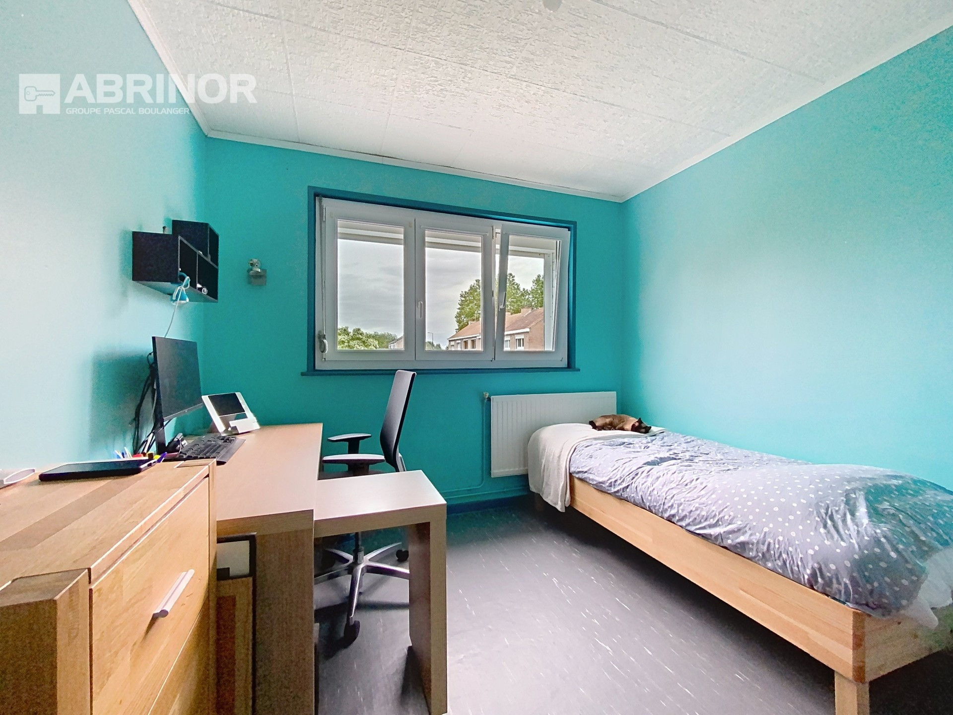 vente maison FACHES THUMESNIL