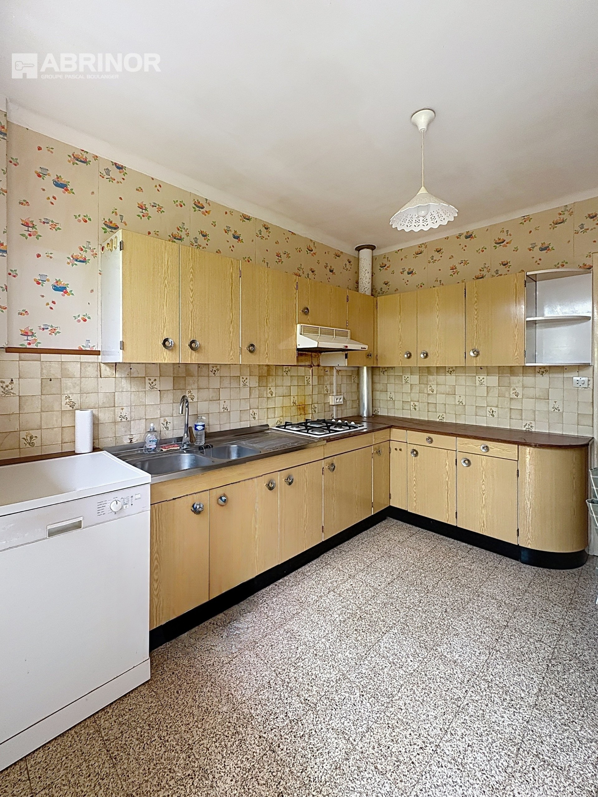 vente maison FACHES THUMESNIL