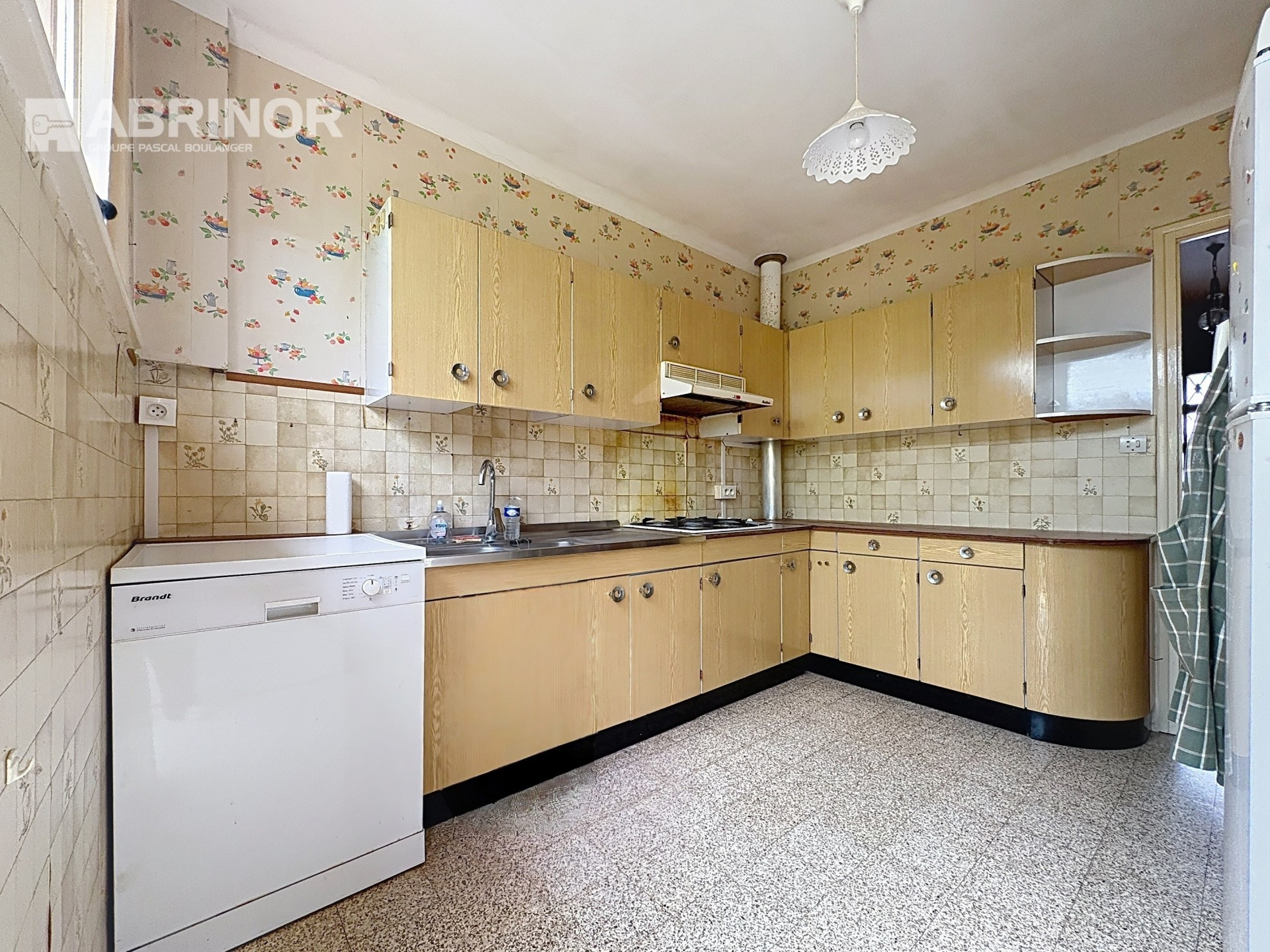vente maison FACHES THUMESNIL