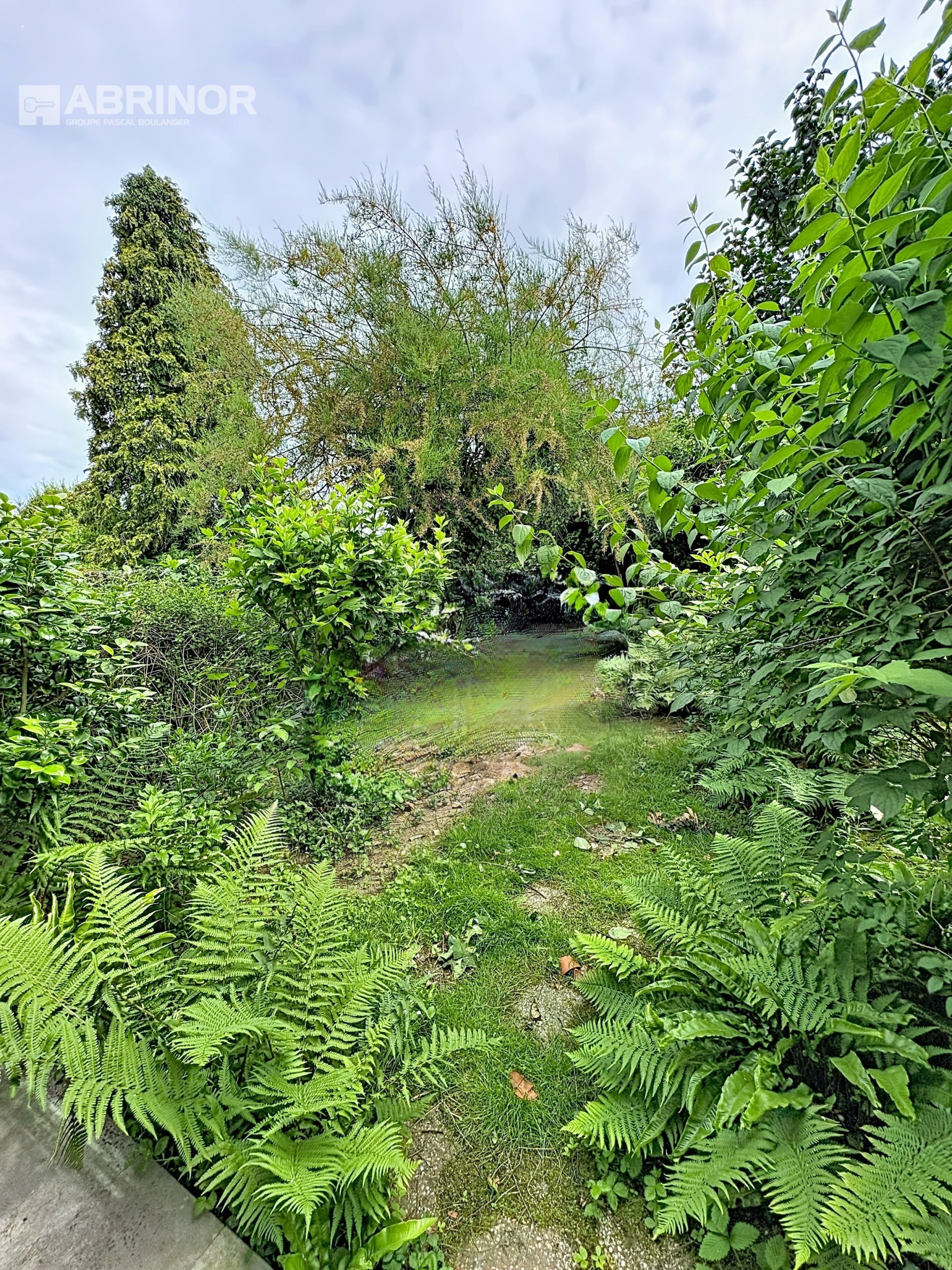 vente maison FACHES THUMESNIL