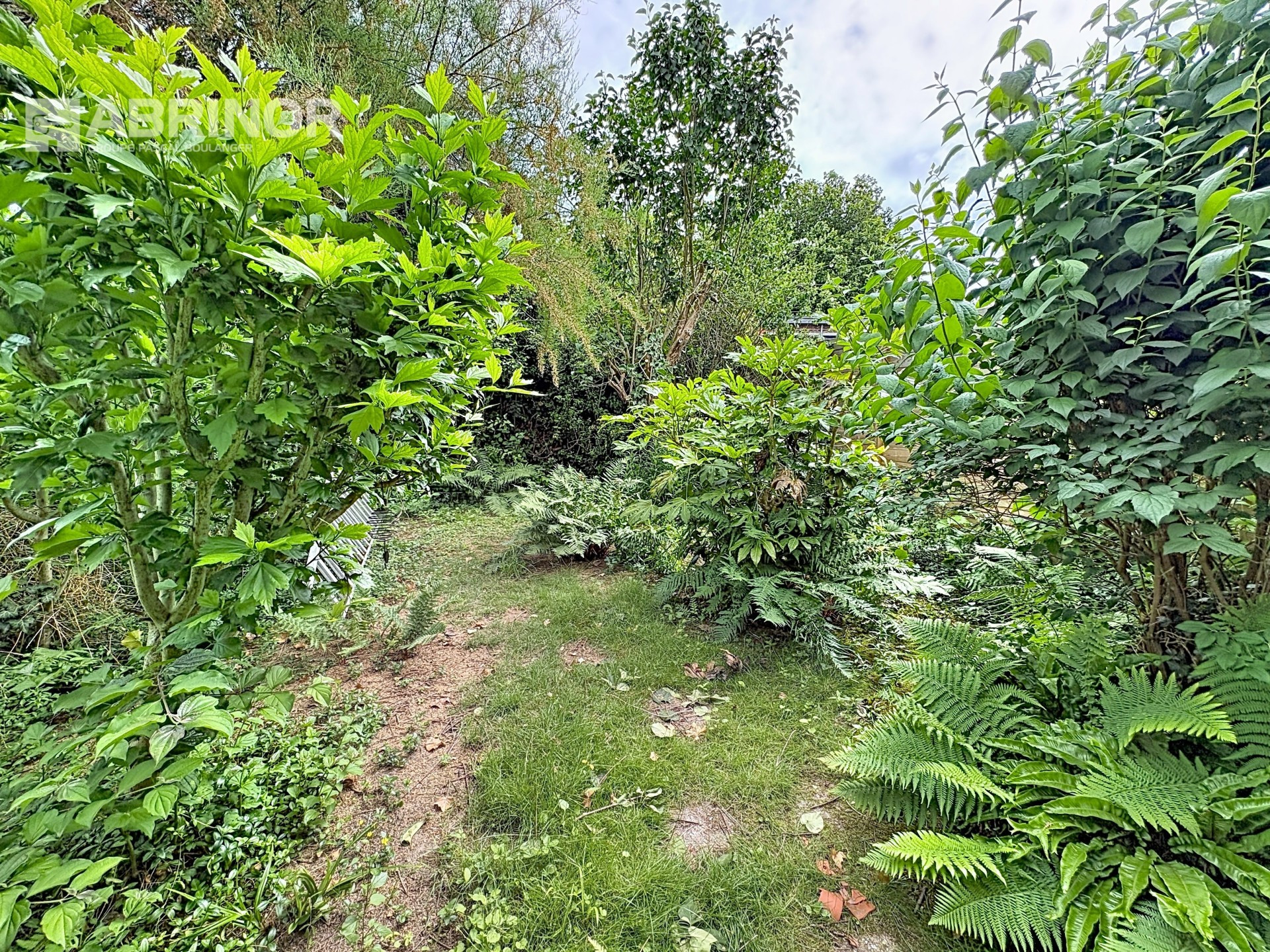 vente maison FACHES THUMESNIL